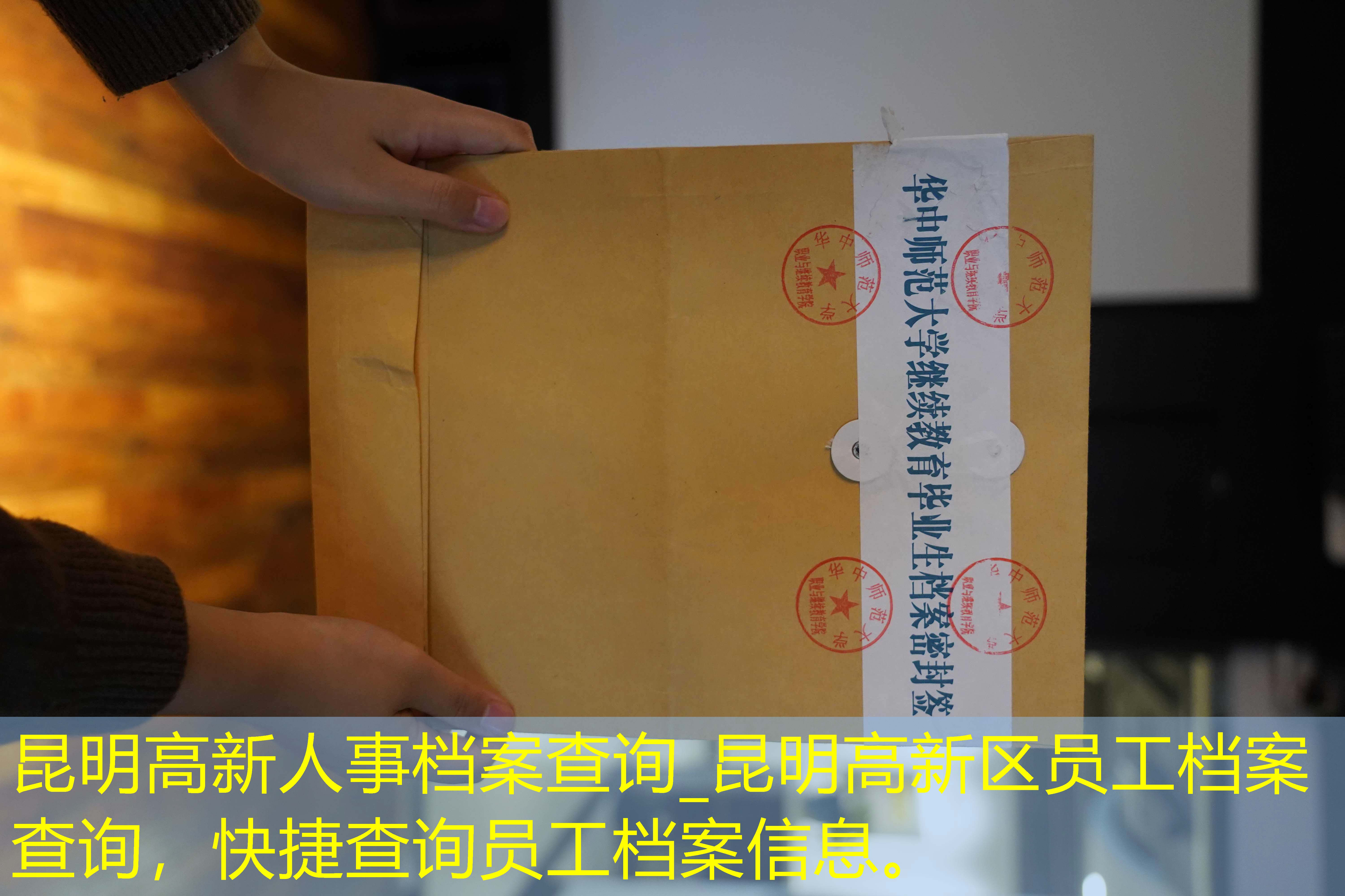 档案查询