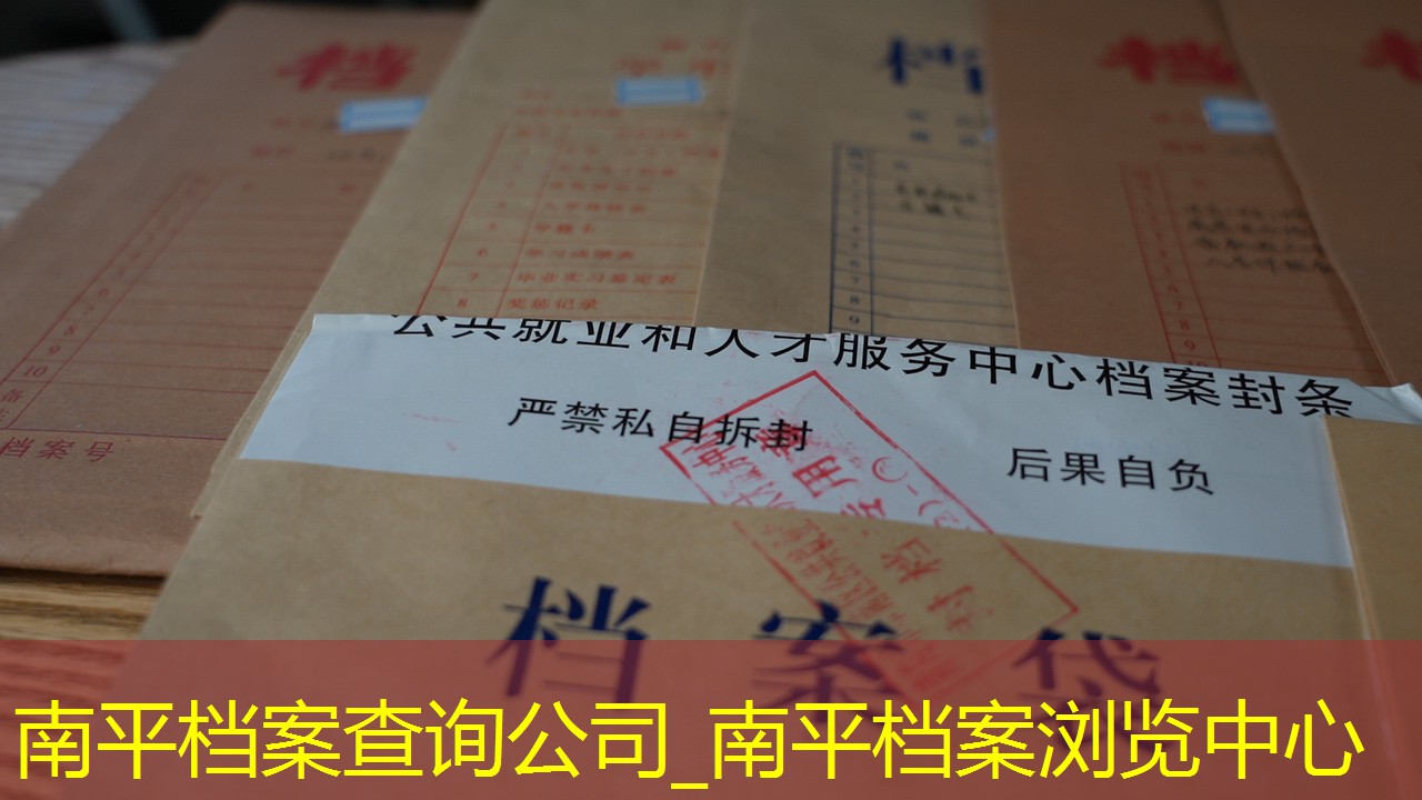 档案查询