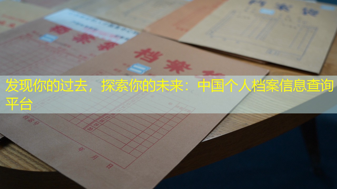 档案查询