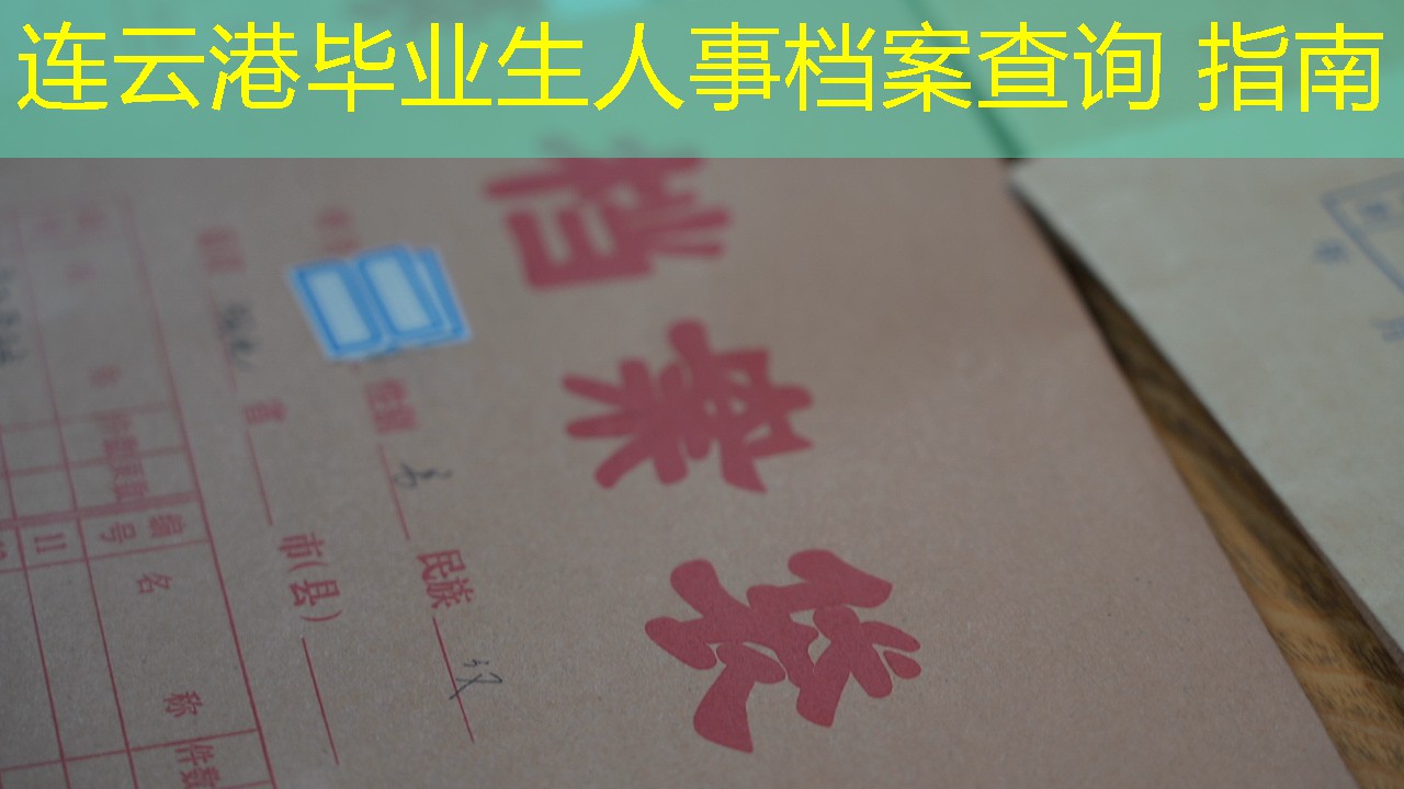 档案查询