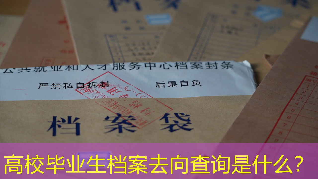 档案查询