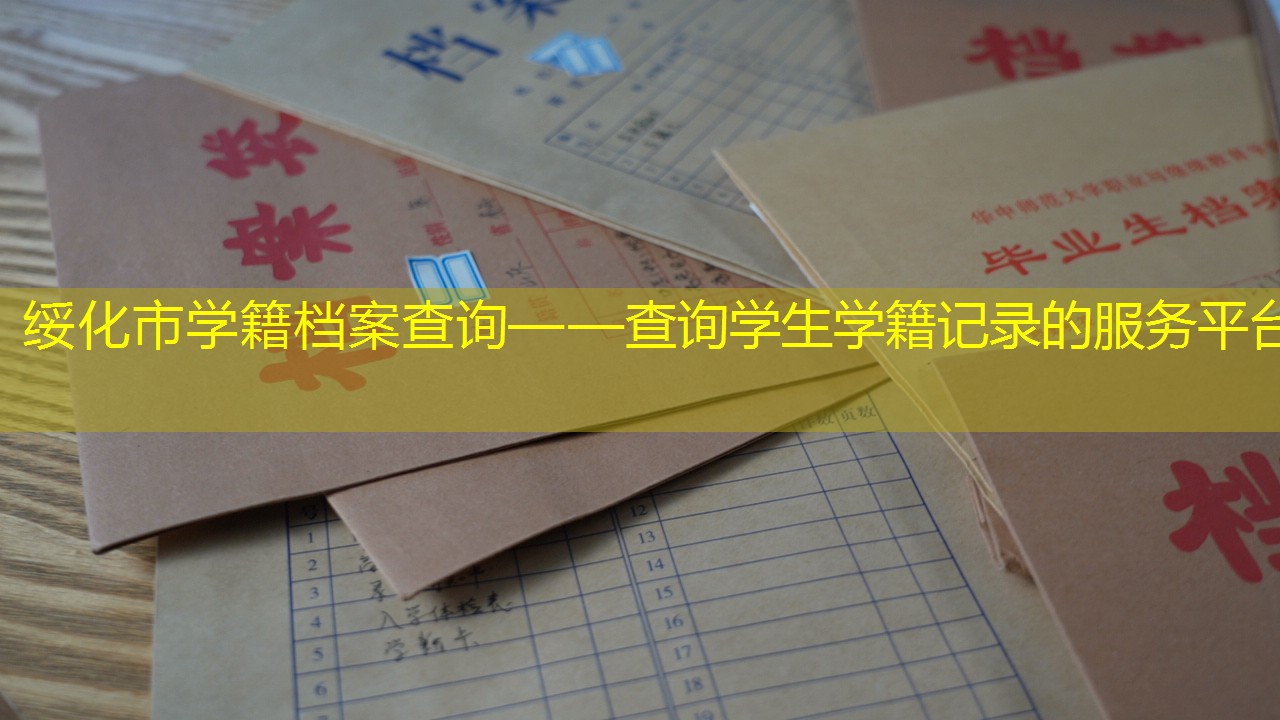 档案查询
