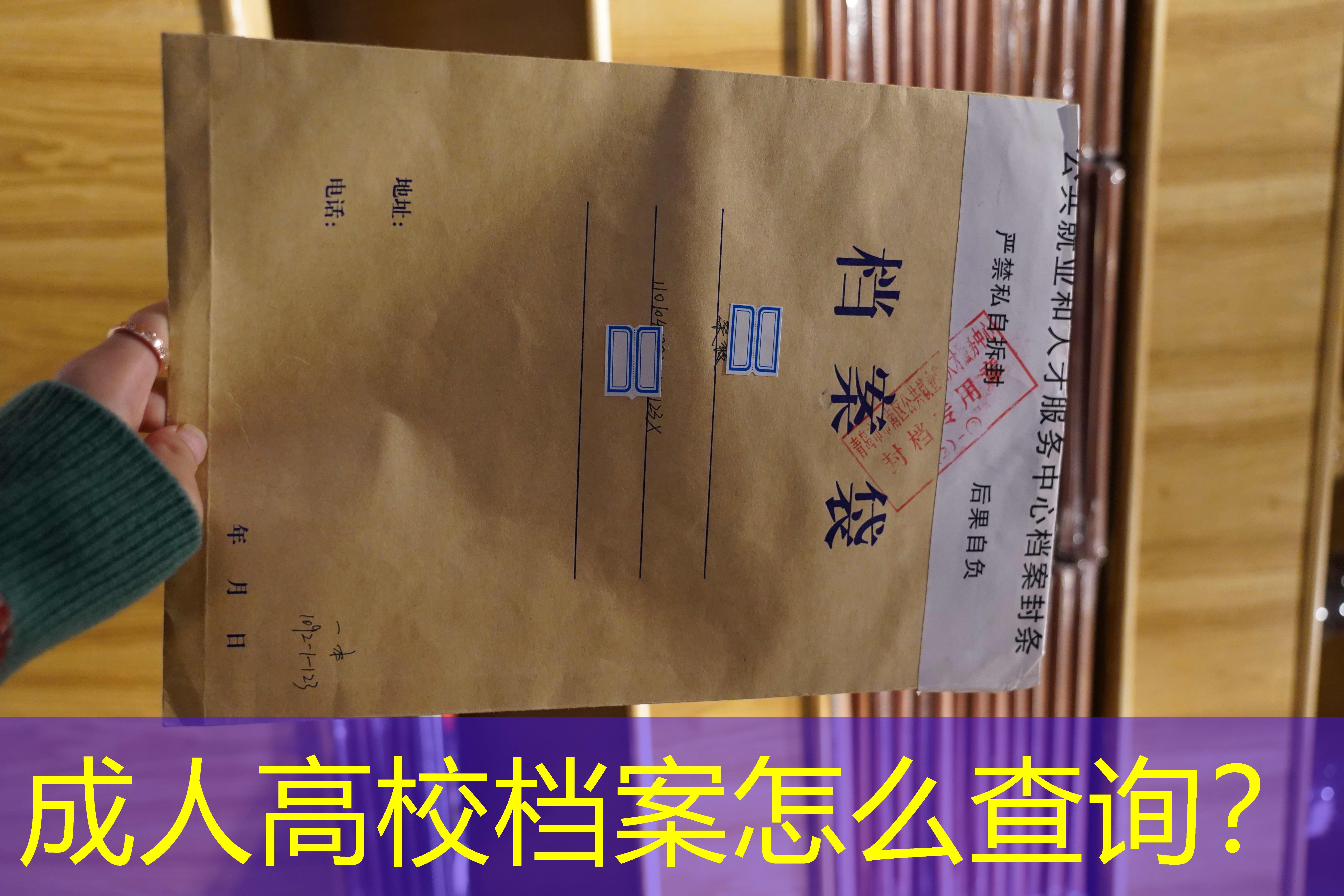 档案查询