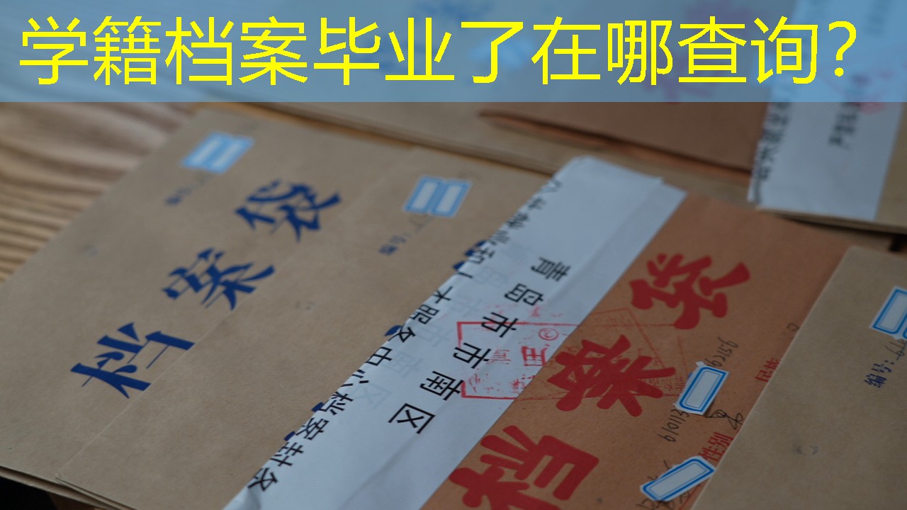 档案查询