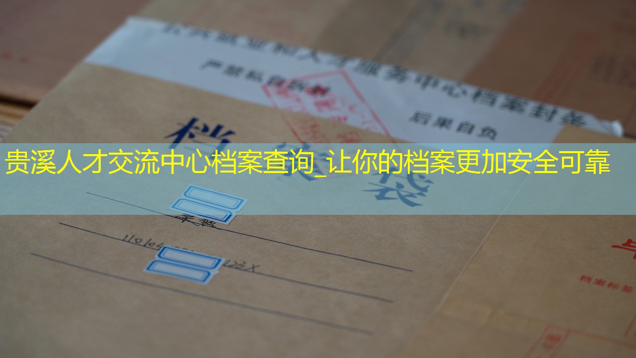 档案查询