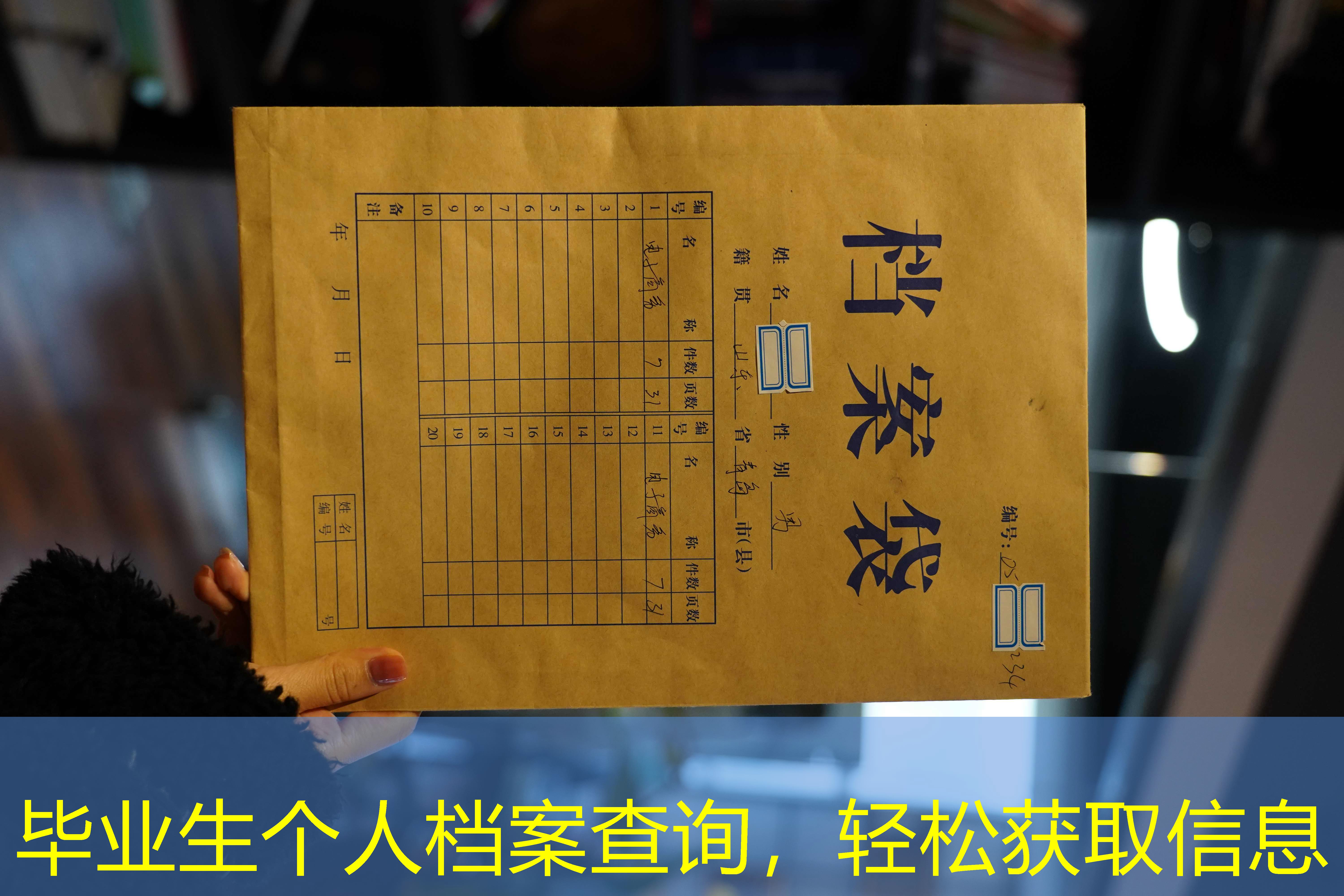 档案查询
