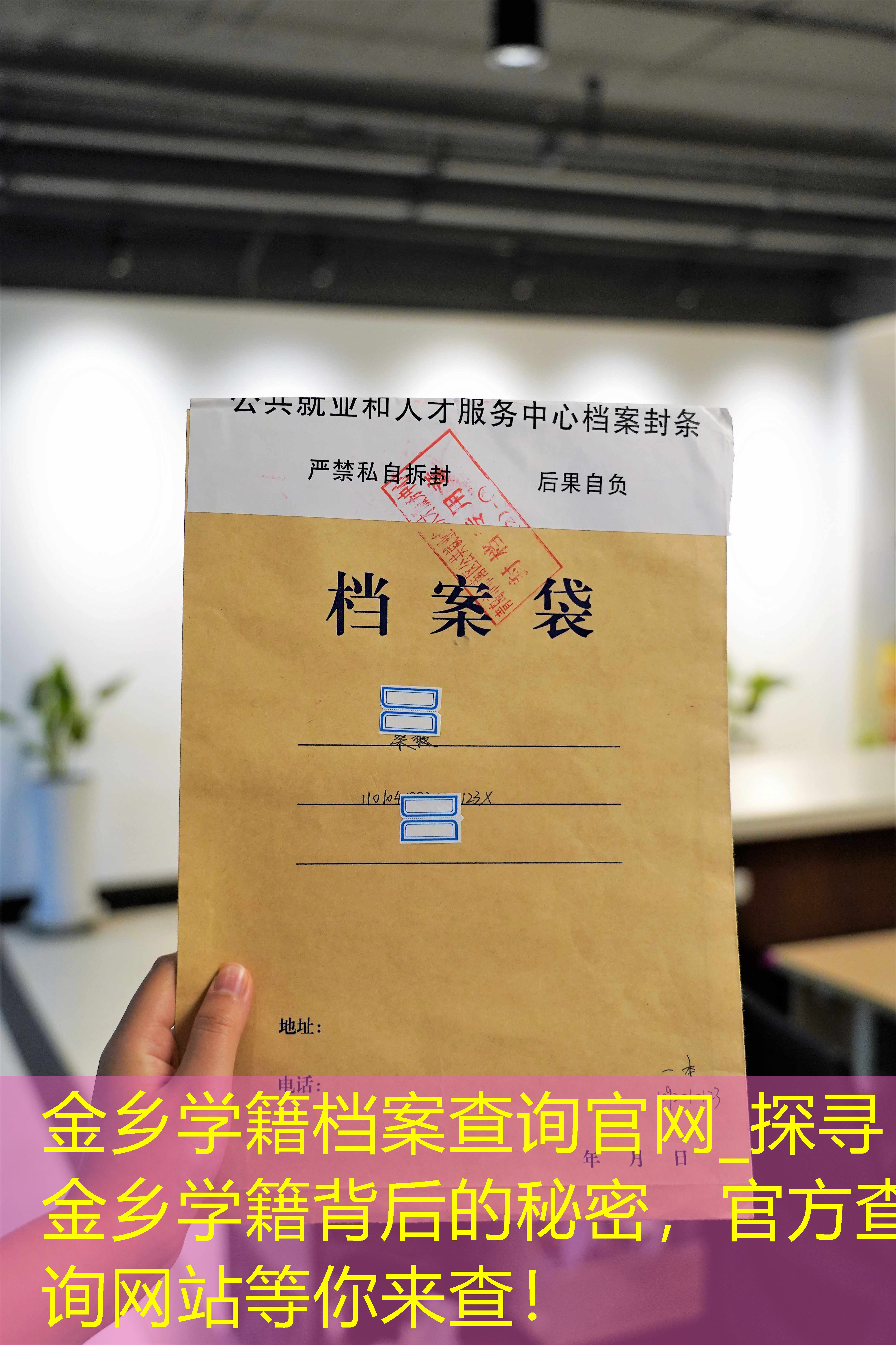 档案查询