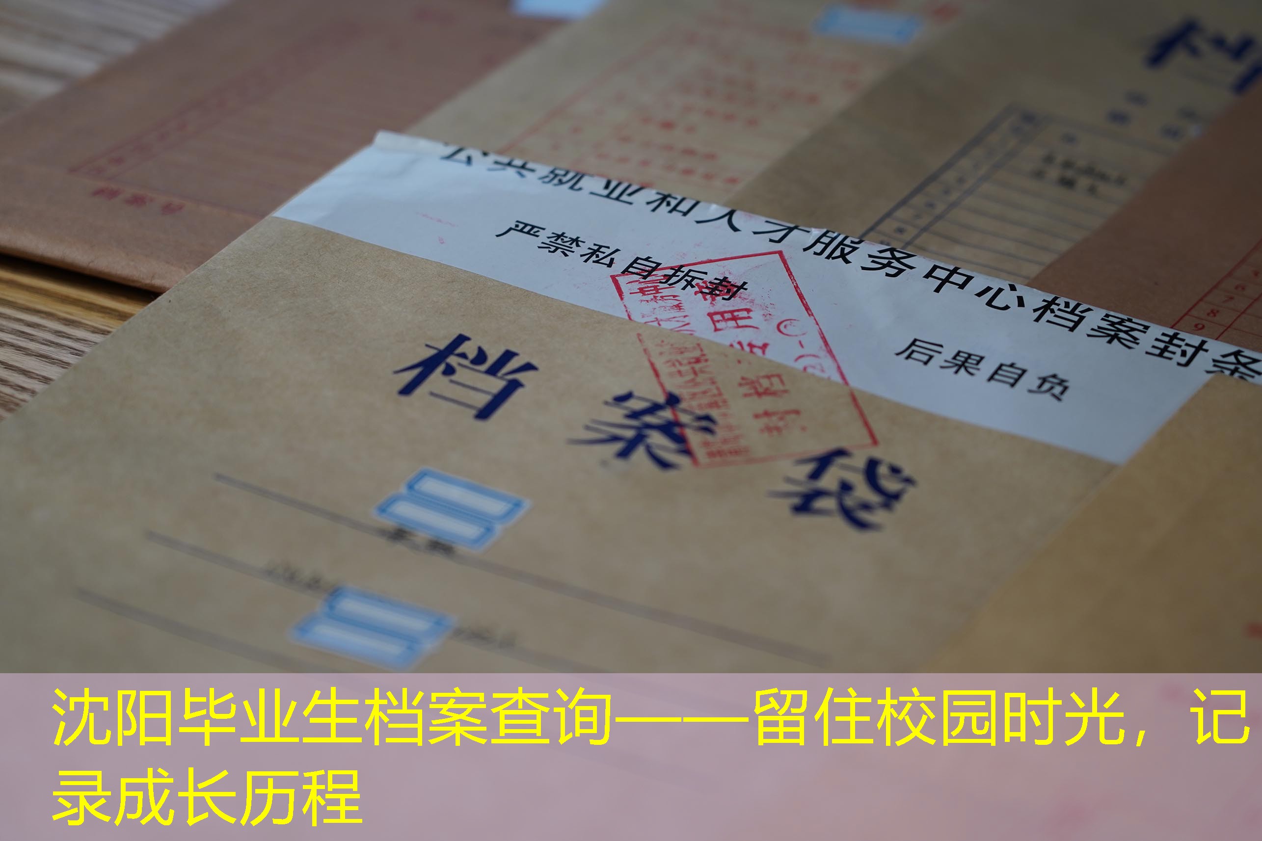 档案查询