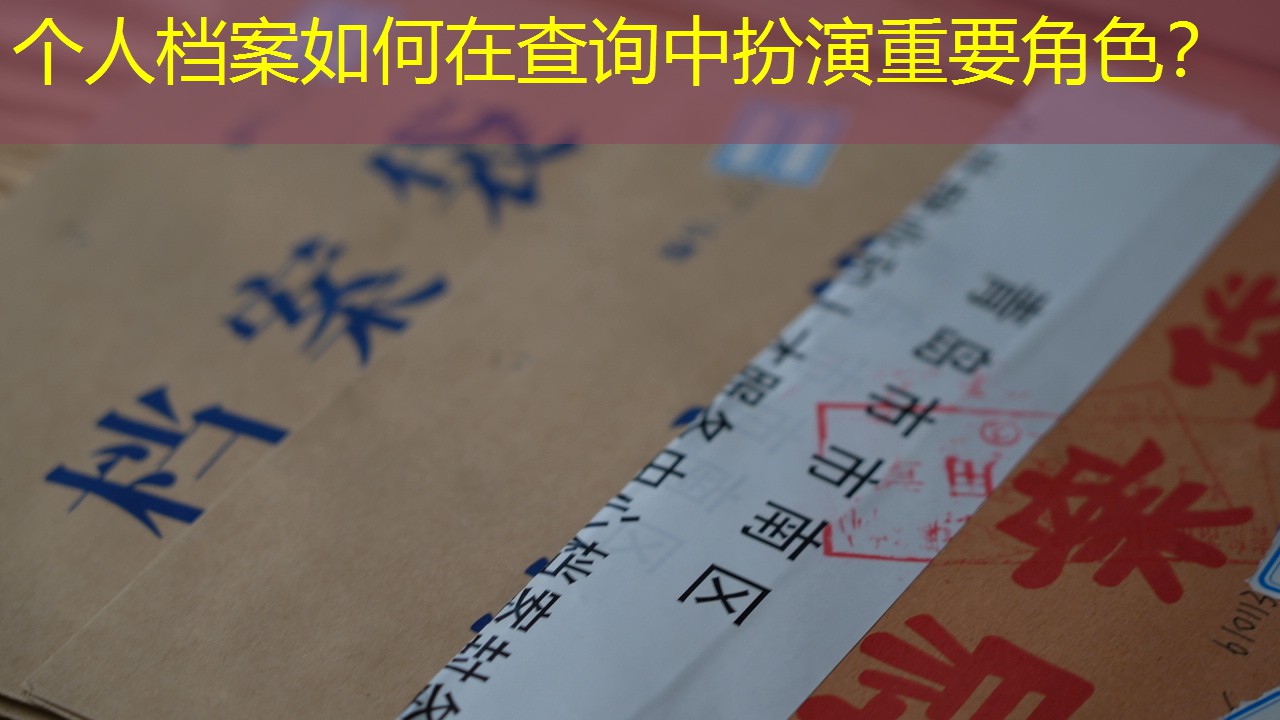 档案查询