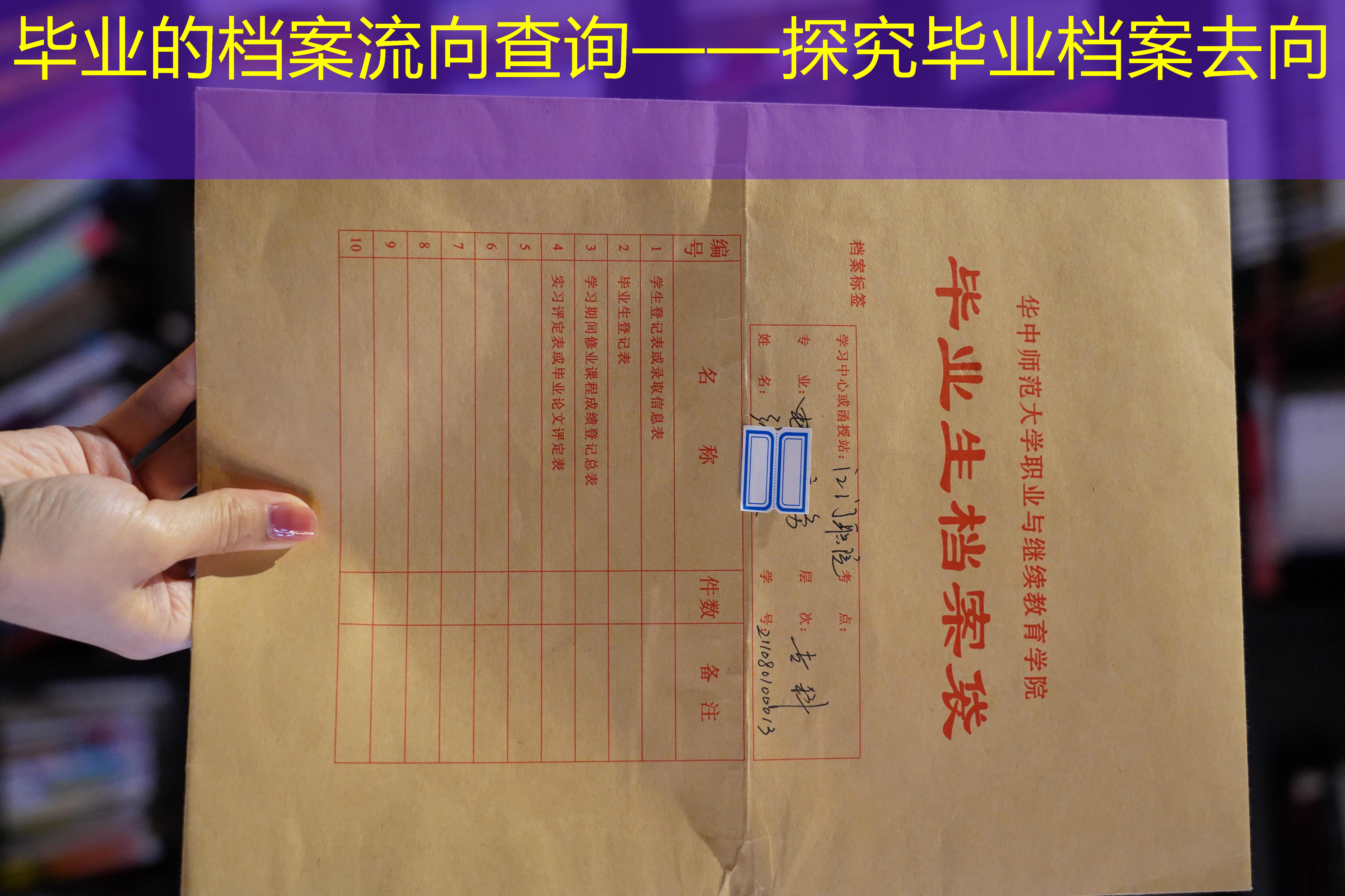 档案查询