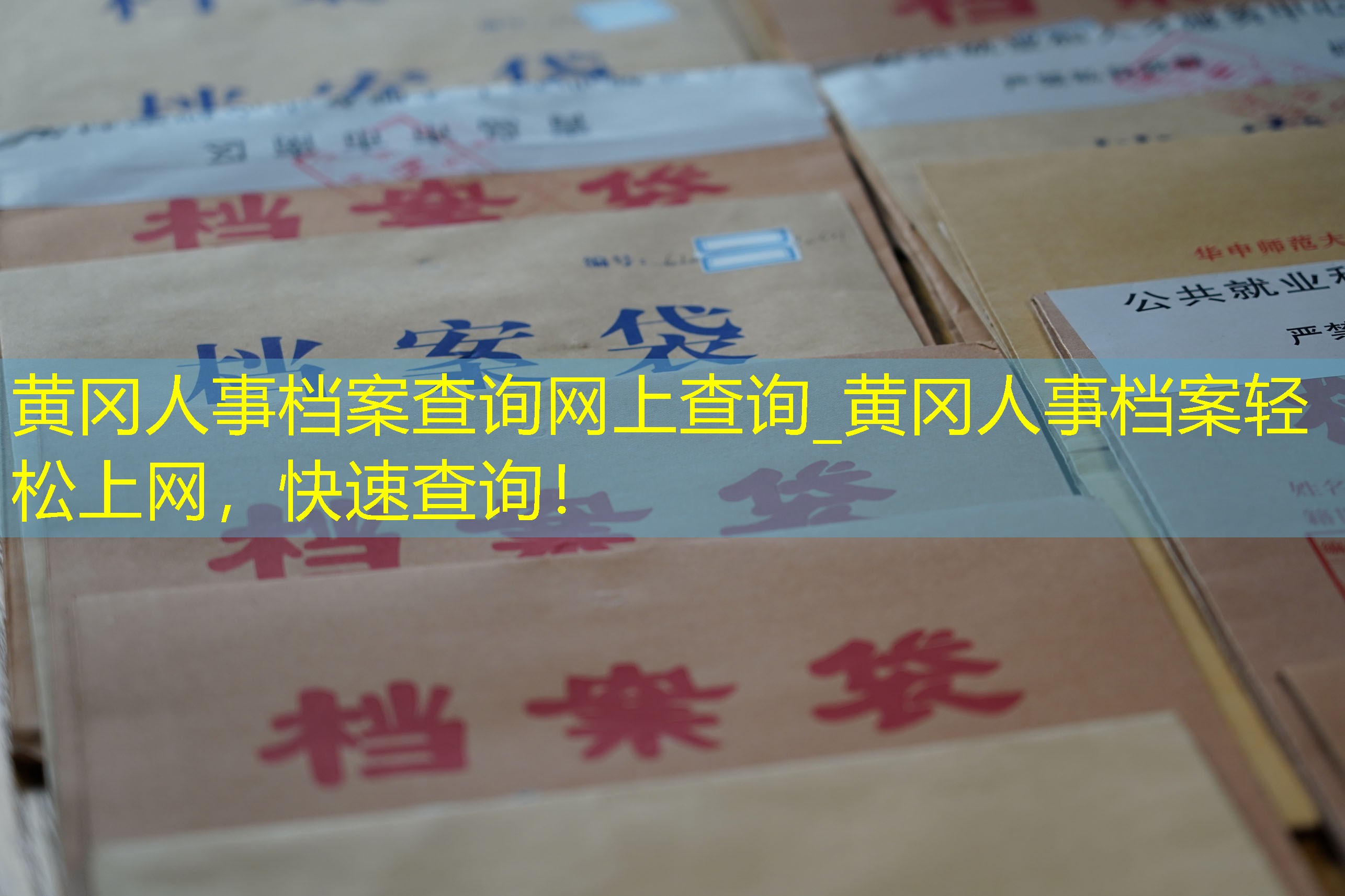 档案查询