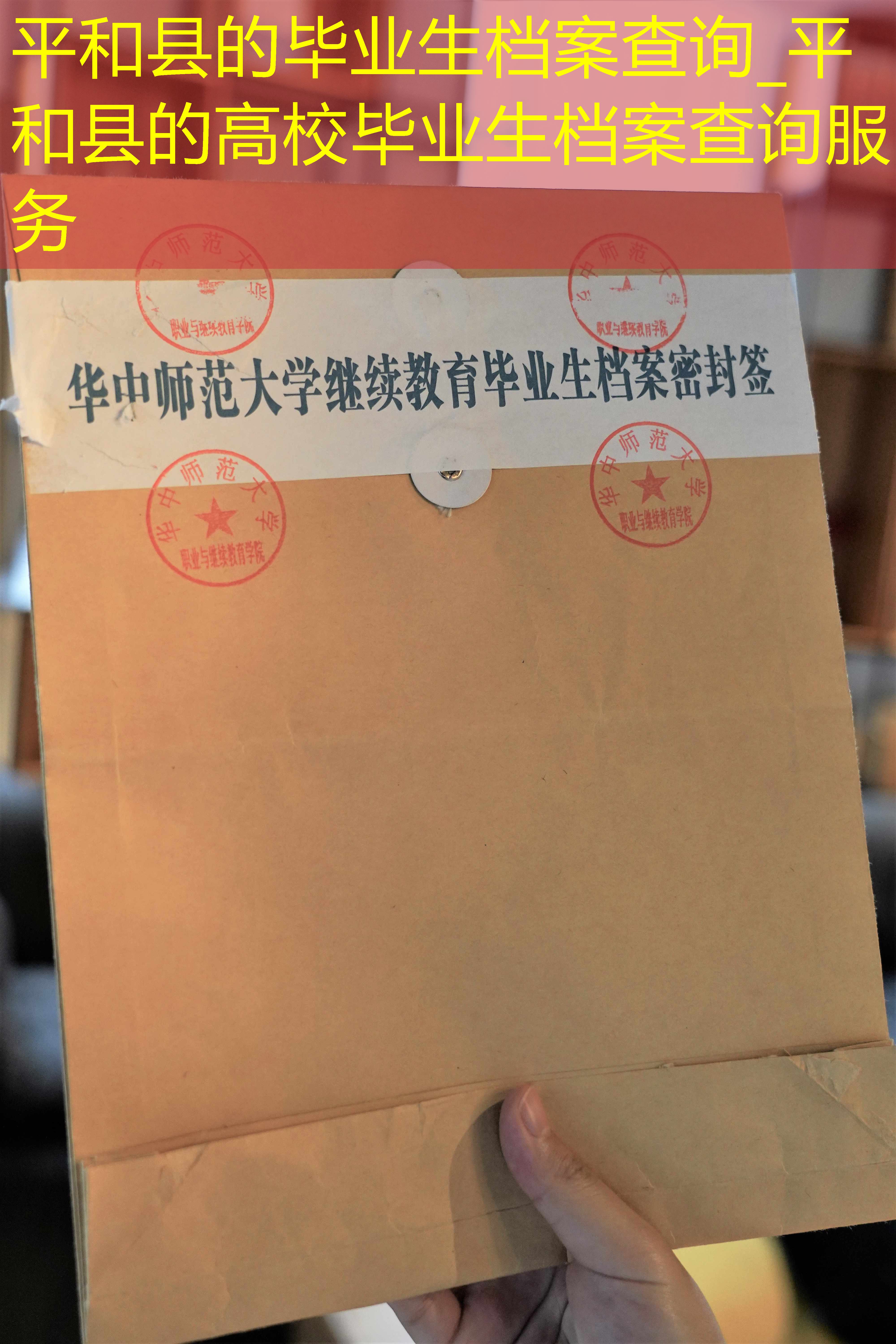 档案查询