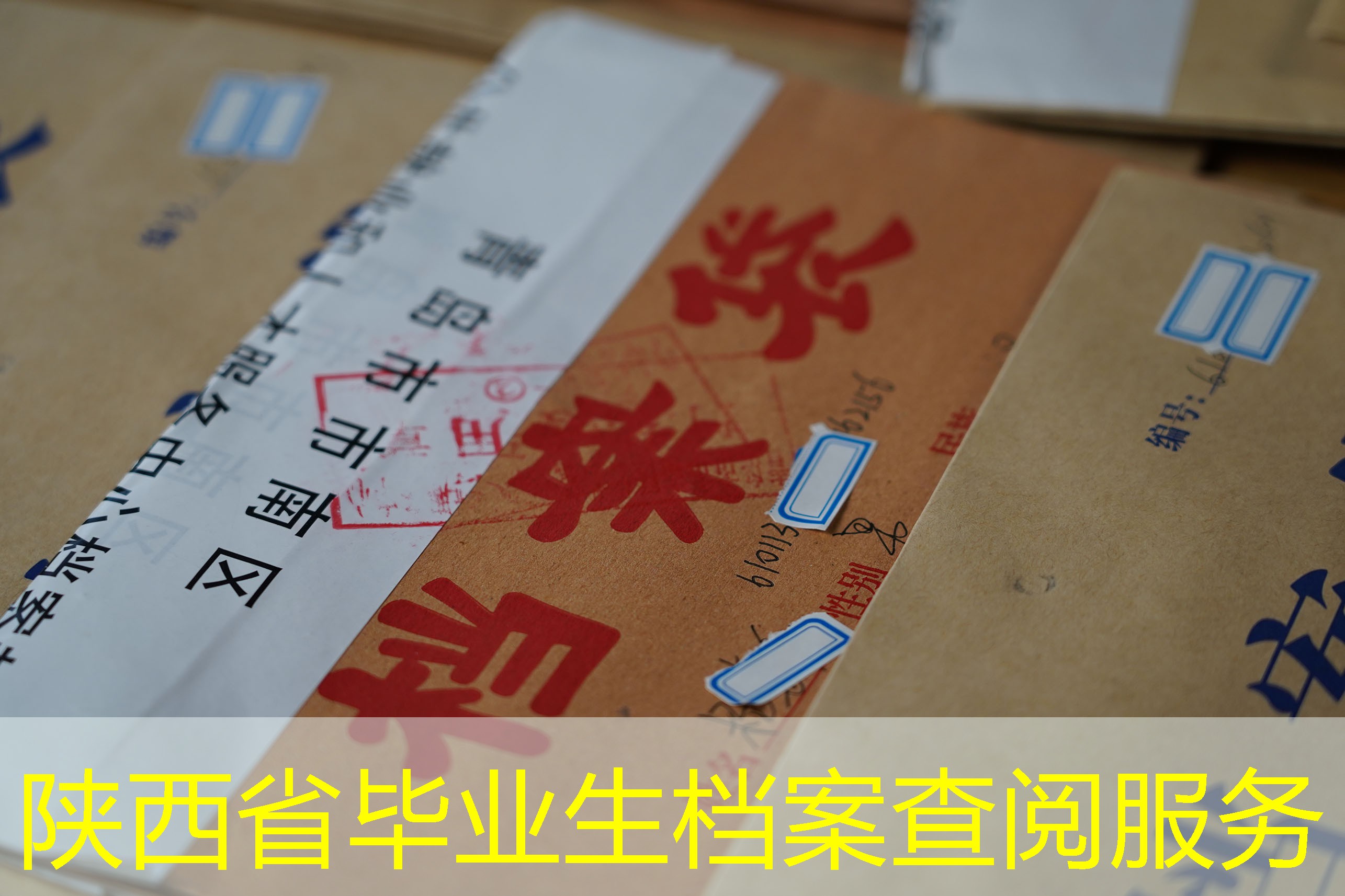 档案查询