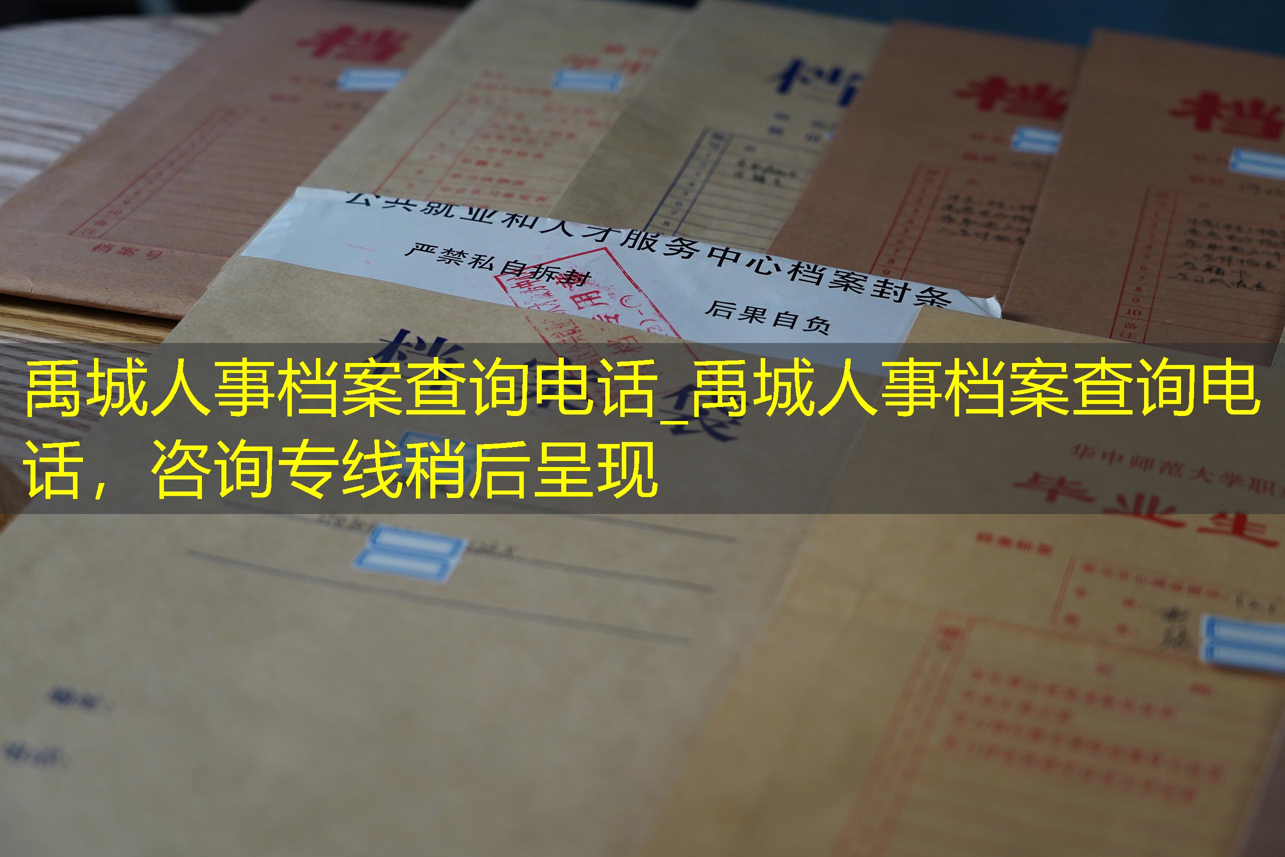 档案查询