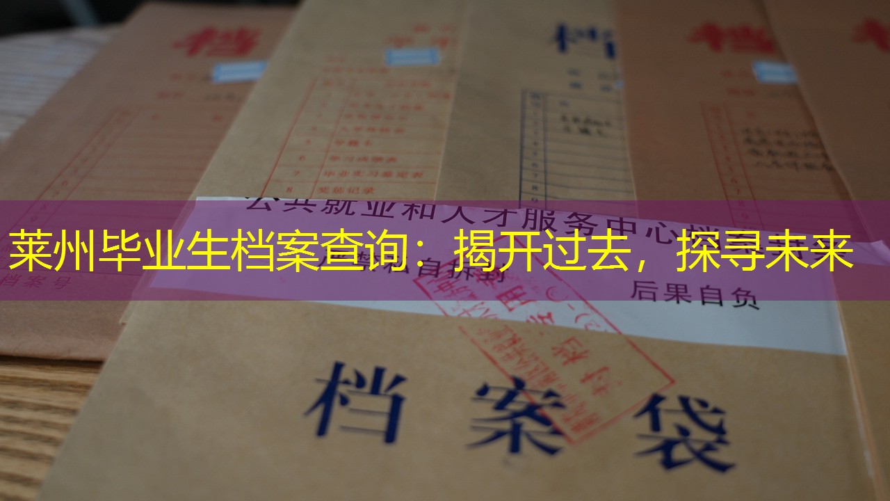 档案查询
