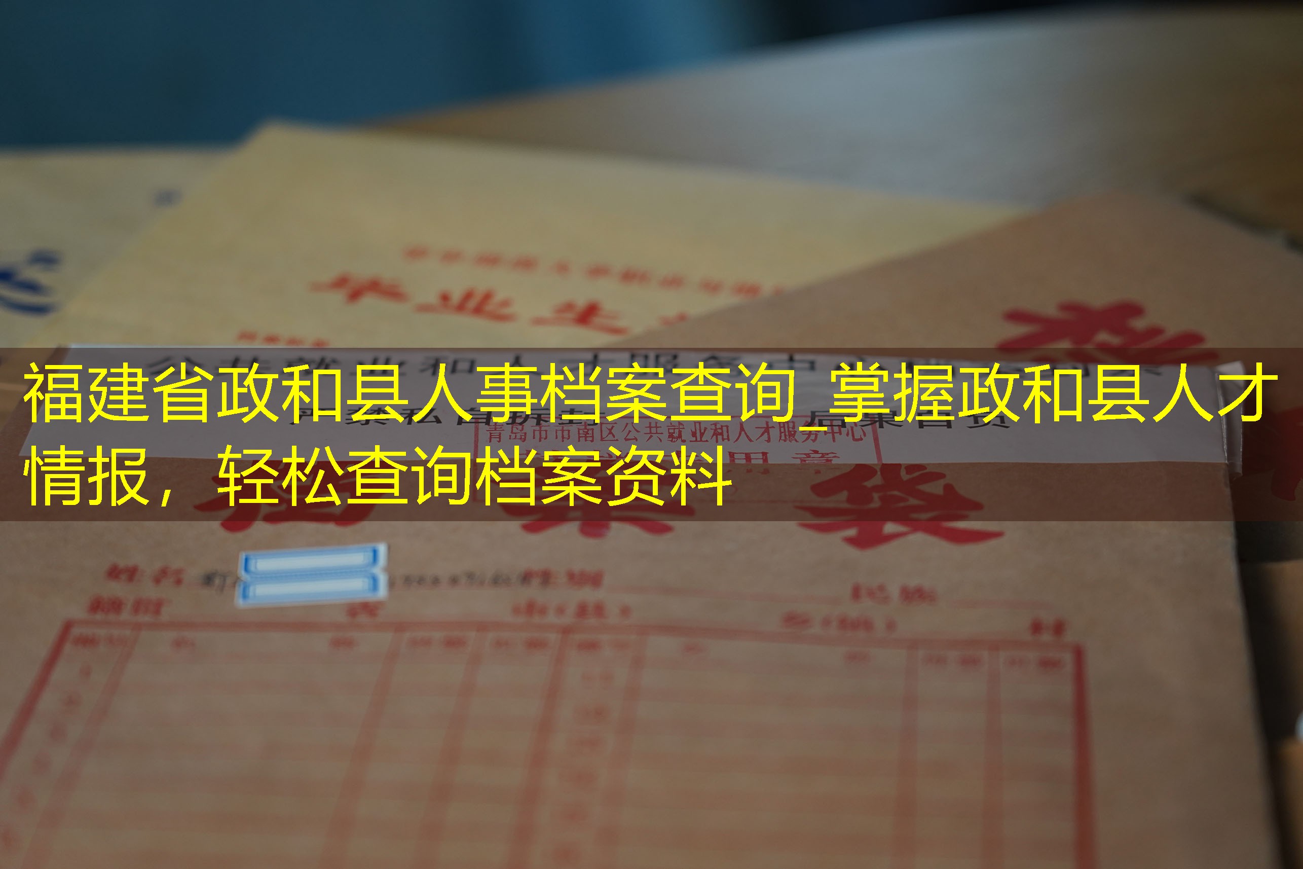 档案查询