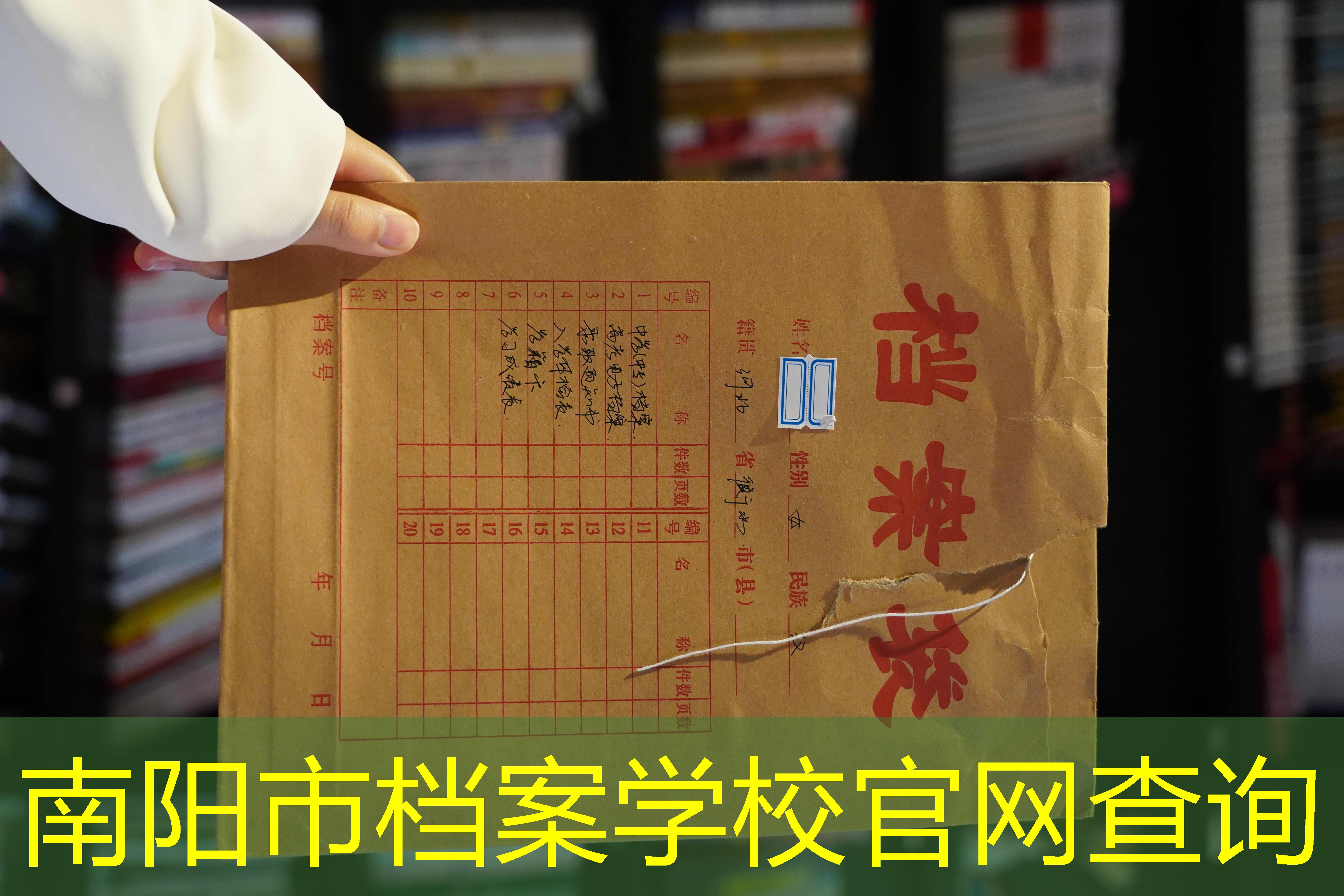 档案查询
