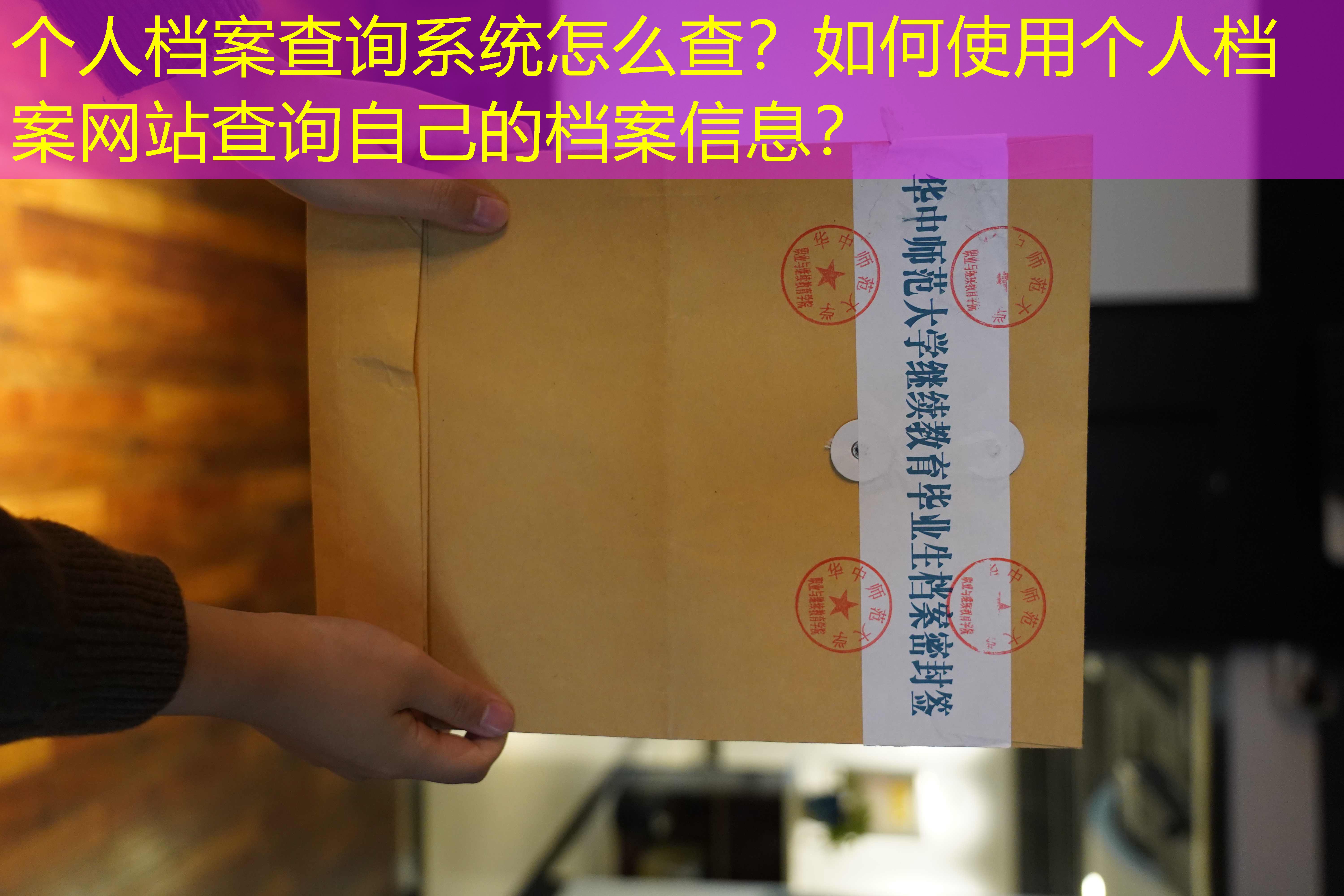 档案查询