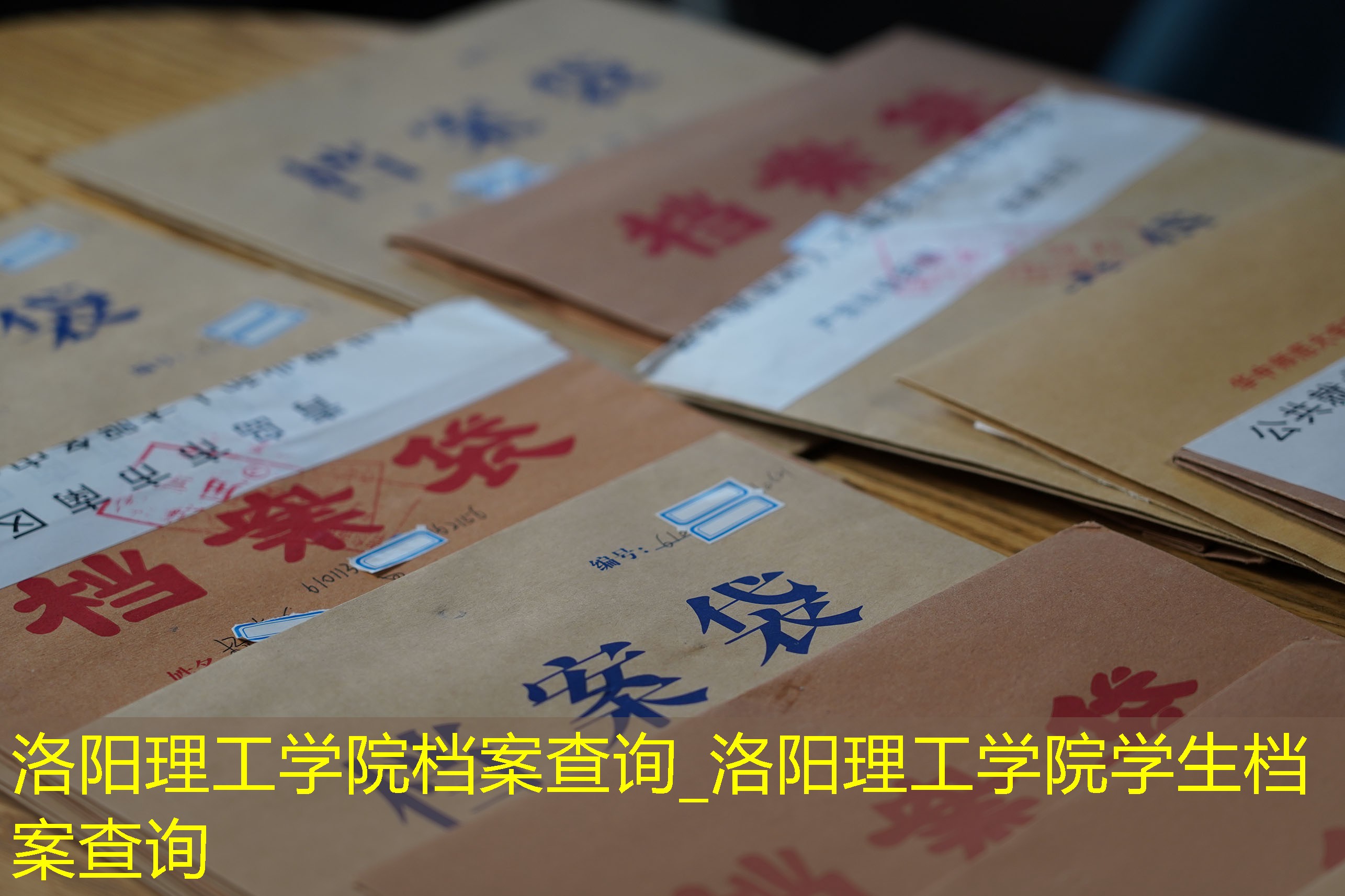 档案查询