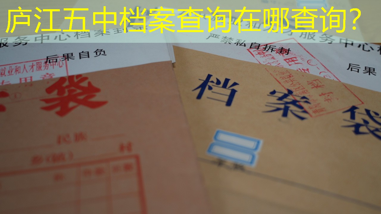 档案查询
