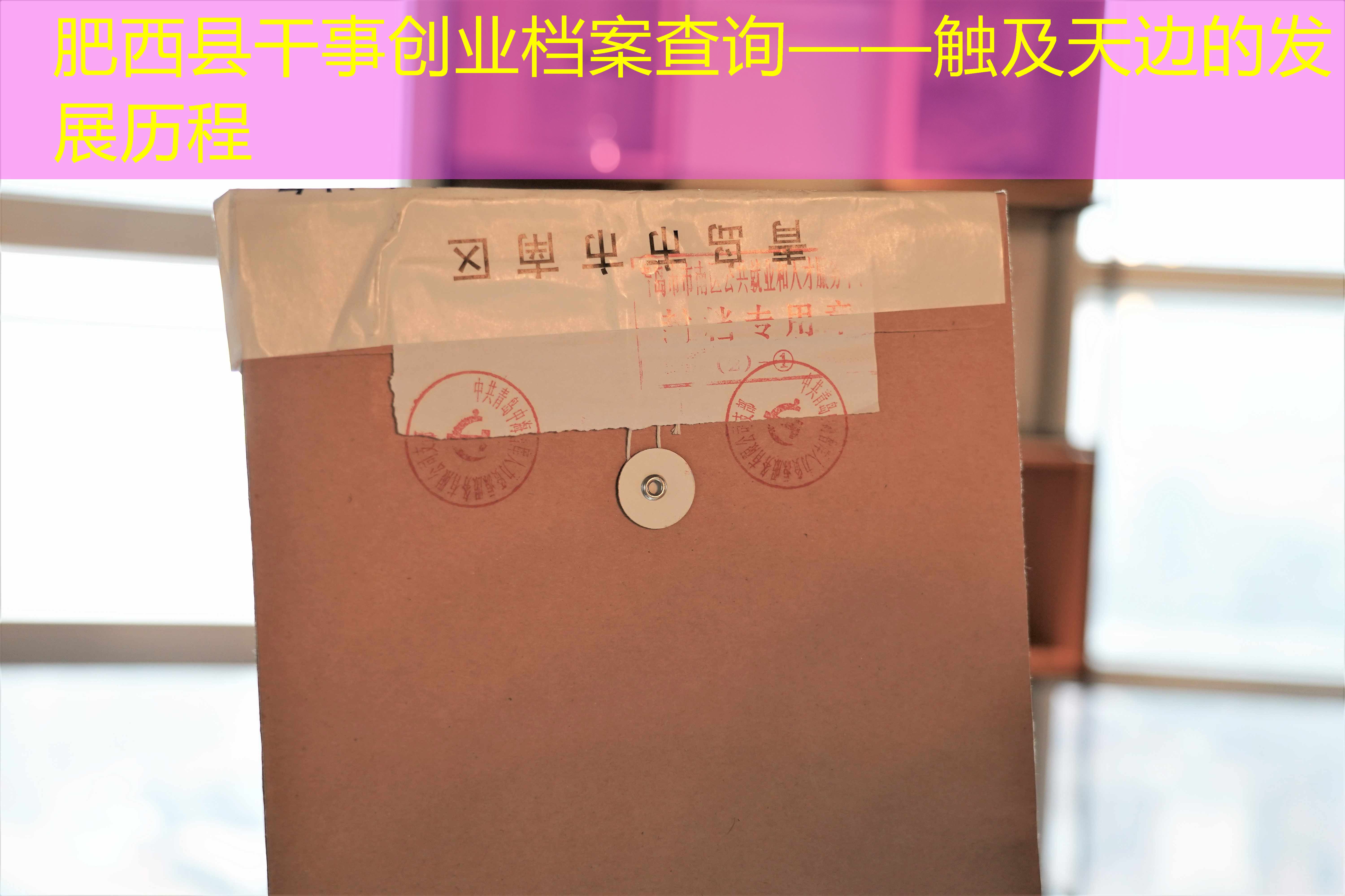 档案查询