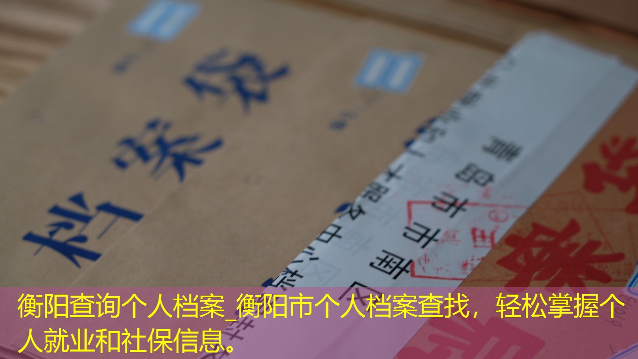 档案查询
