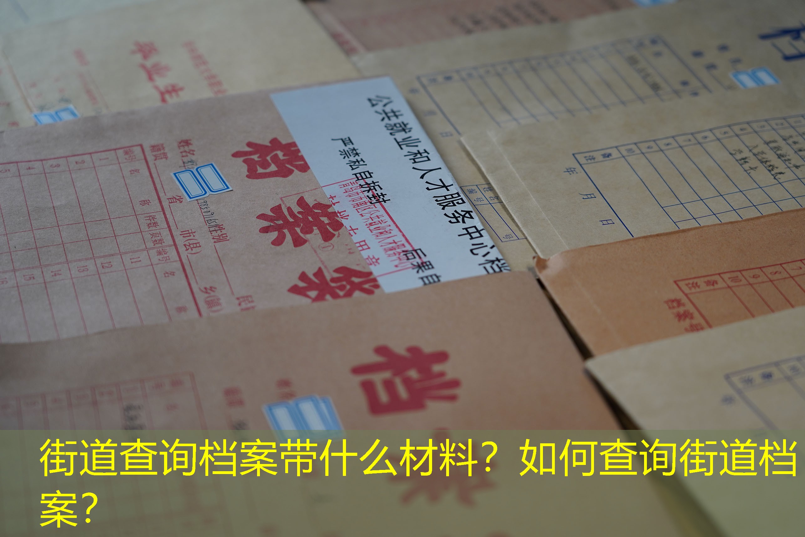 档案查询