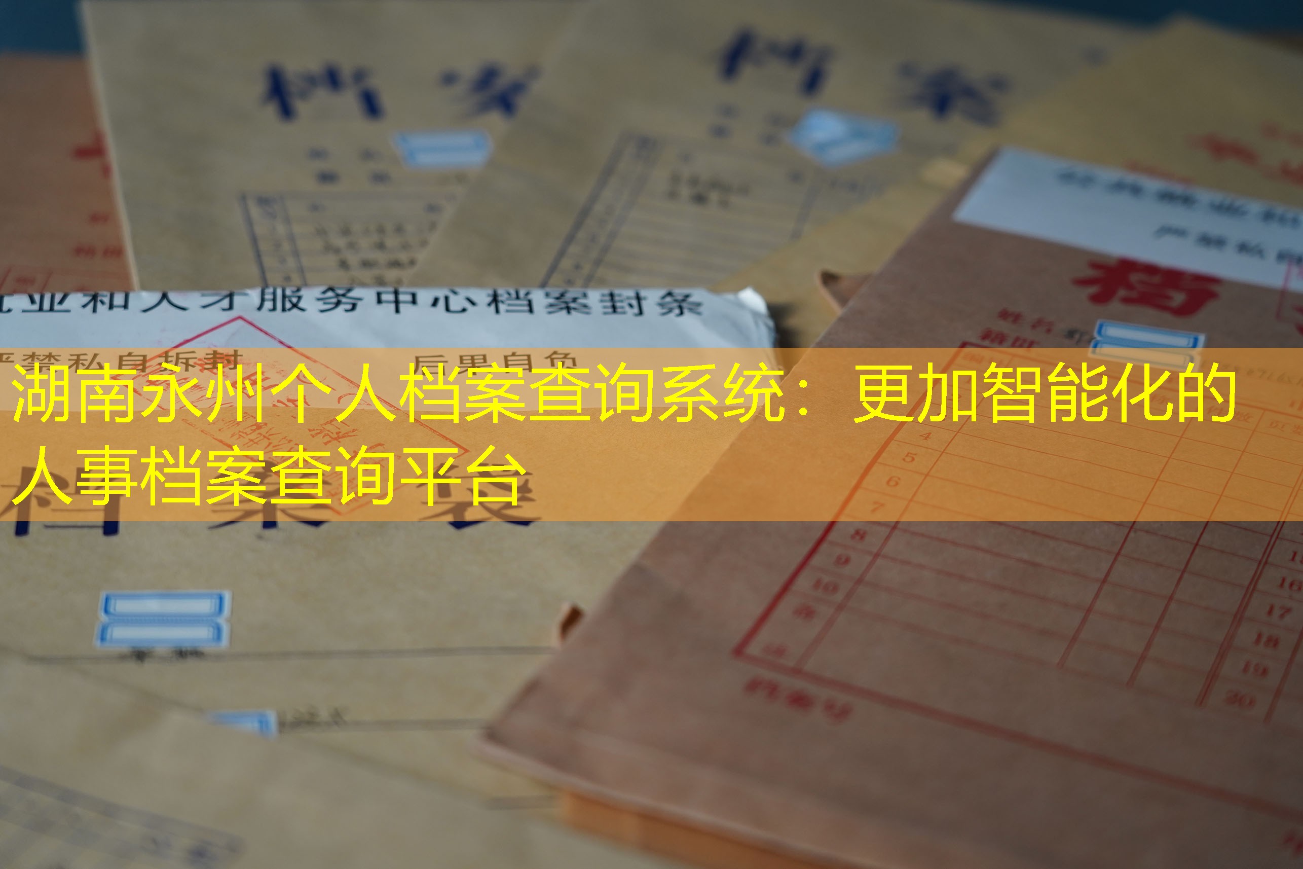 档案查询