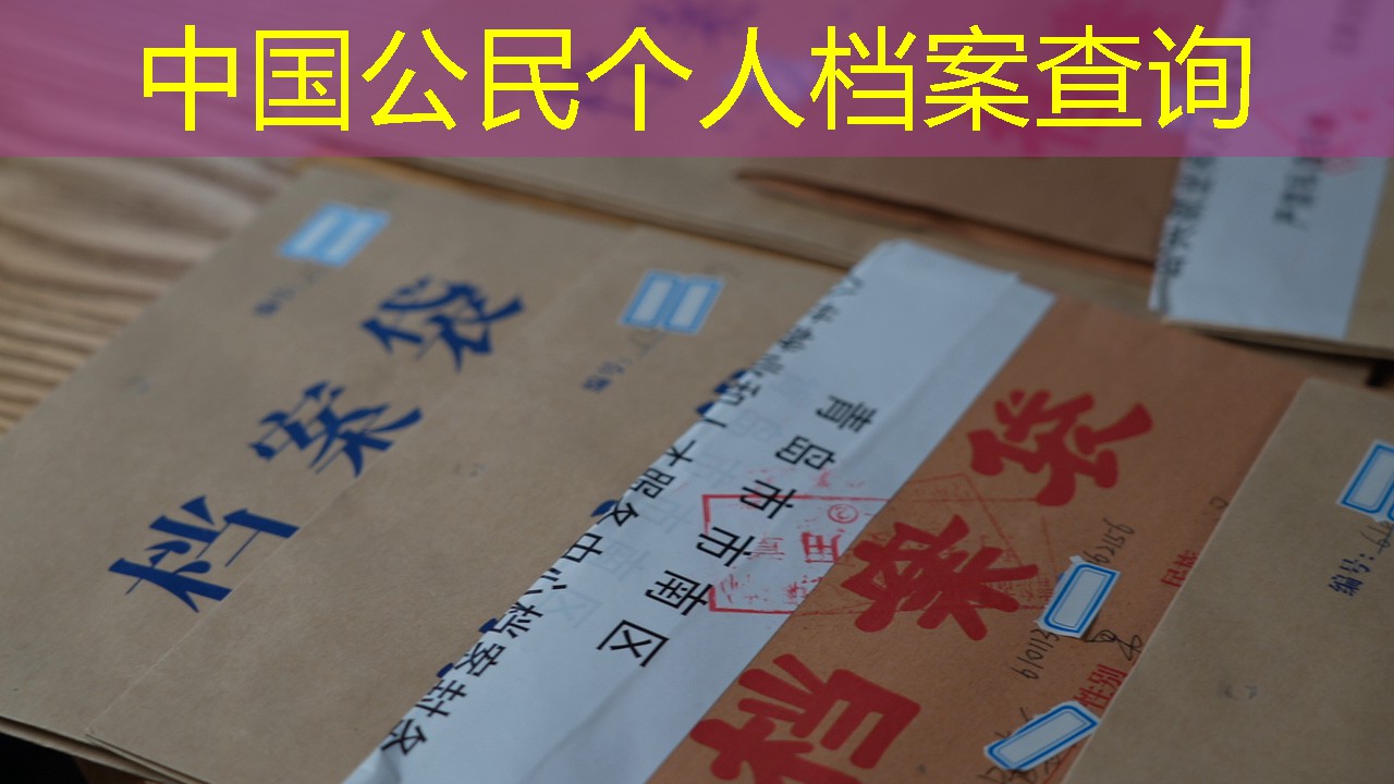 档案查询