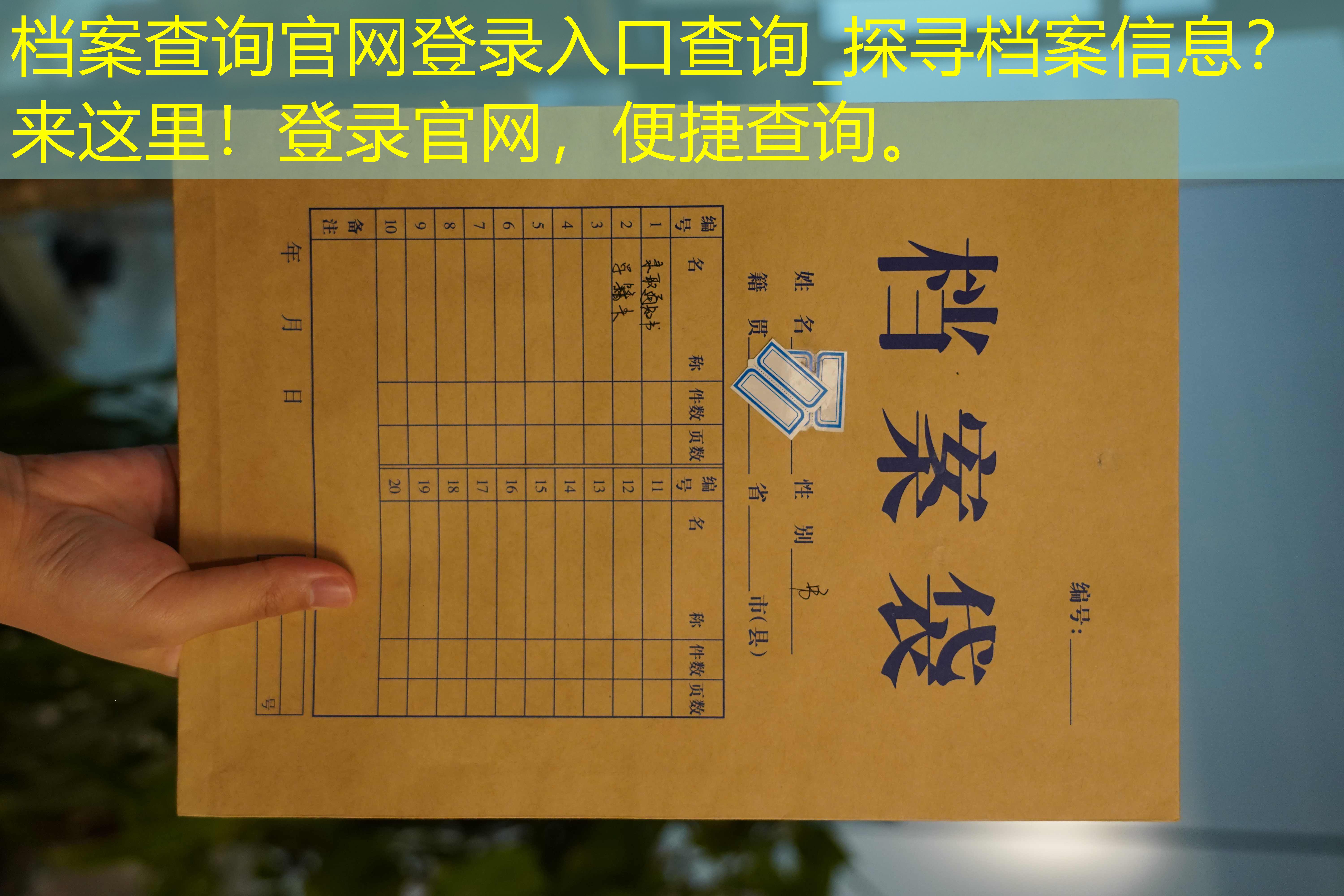 档案查询