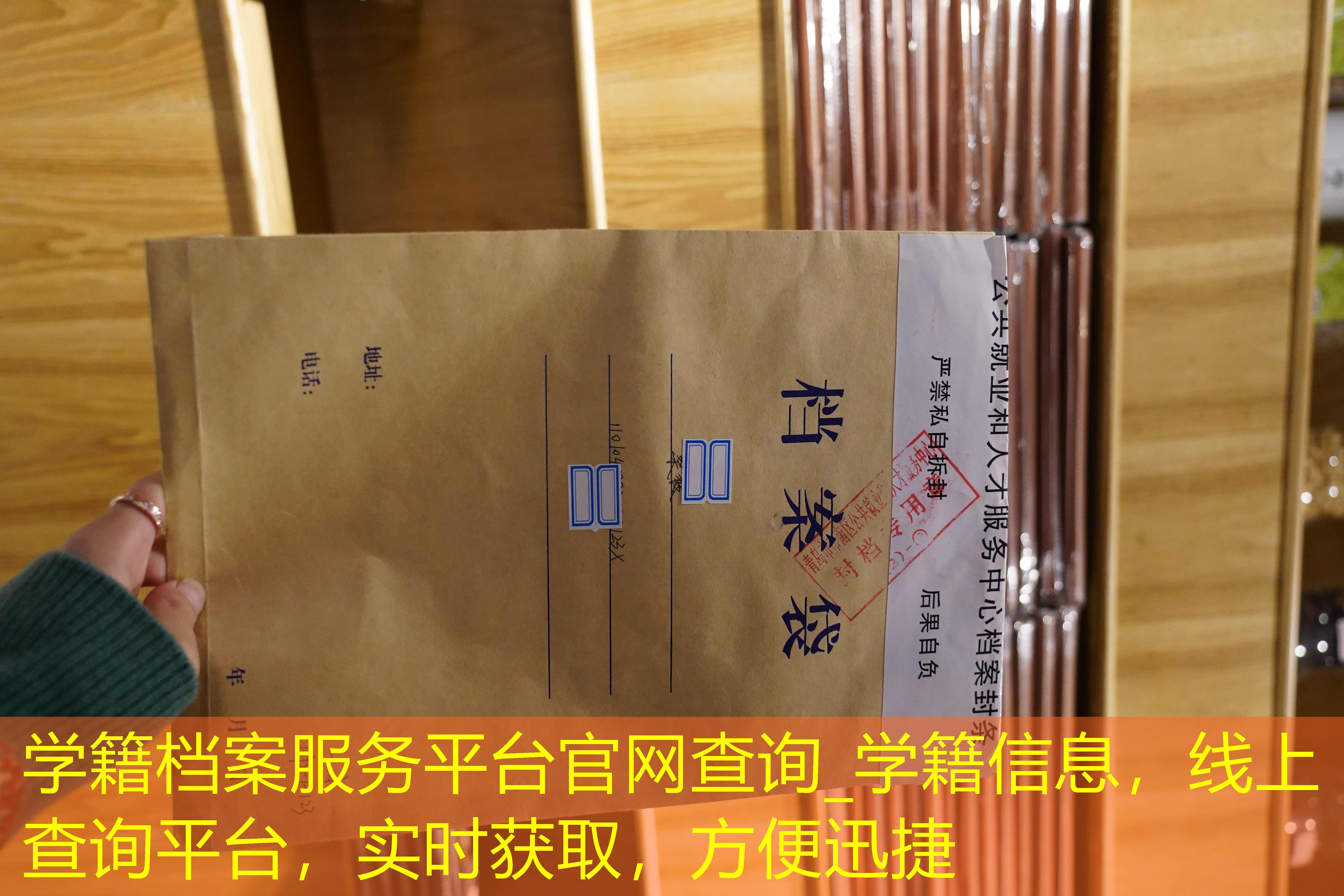档案查询