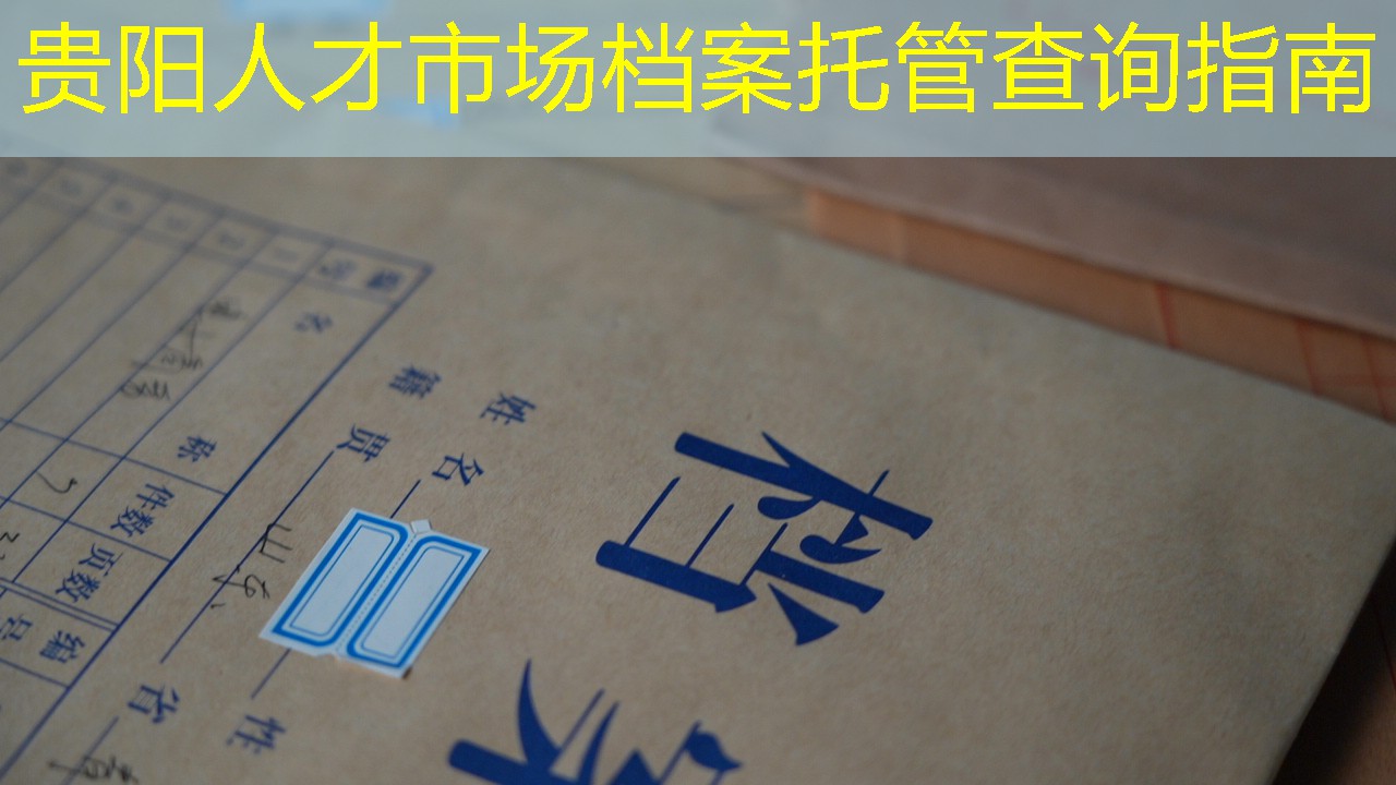 档案查询