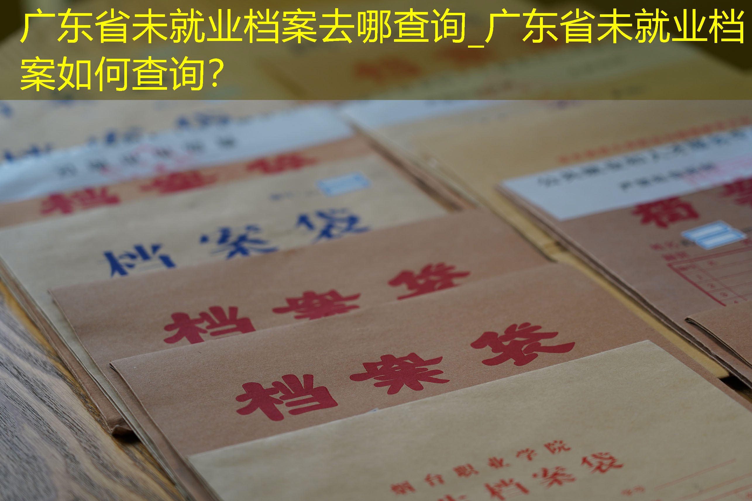 档案查询