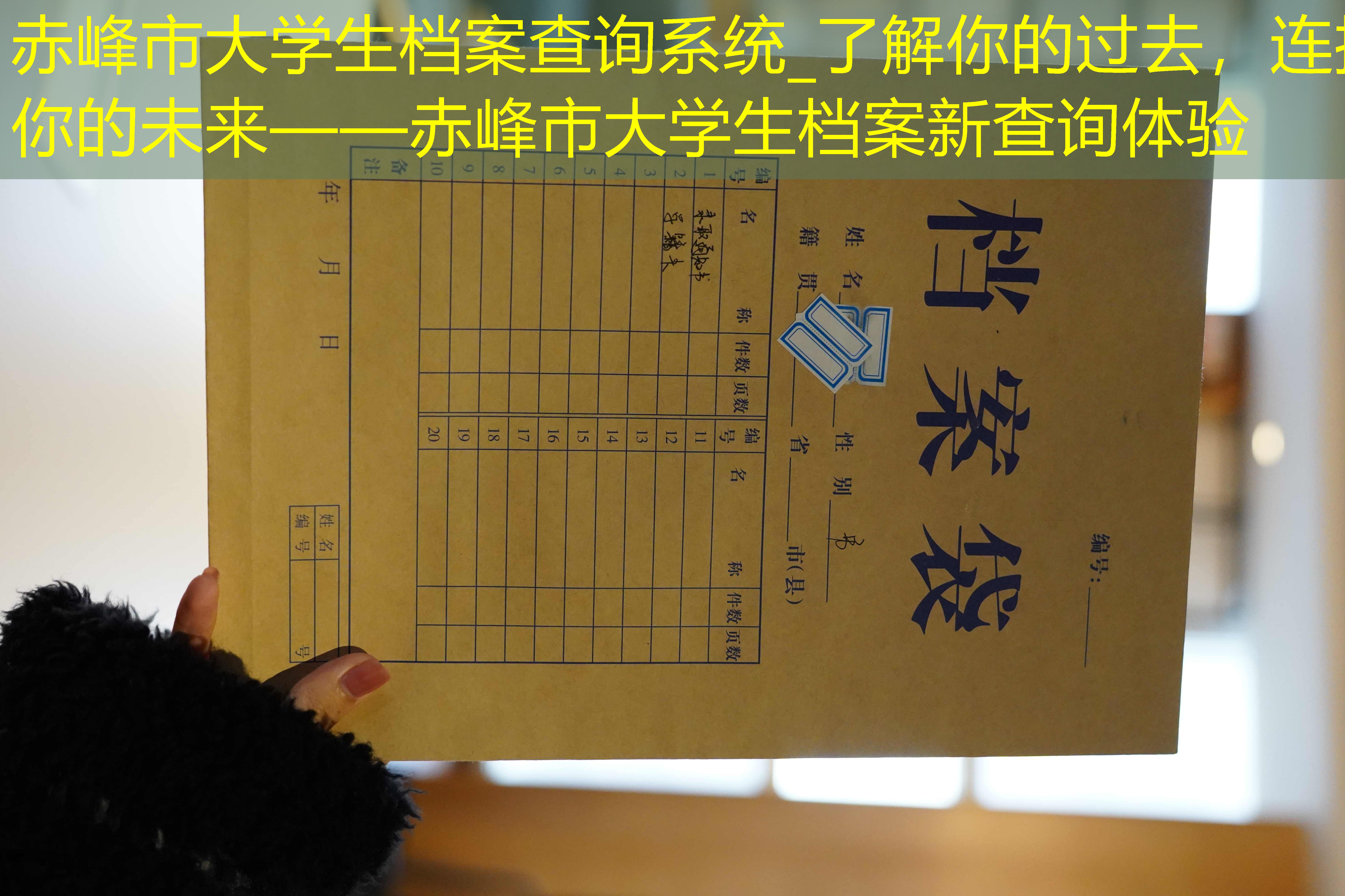 档案查询