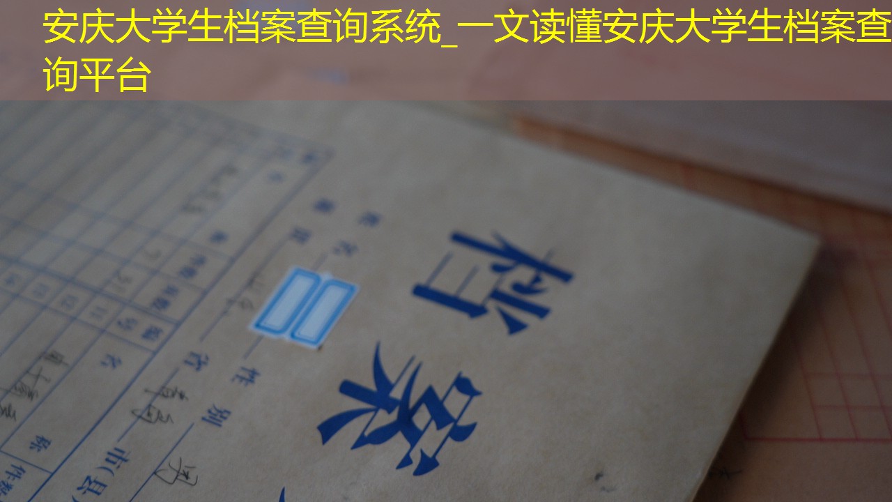 档案查询