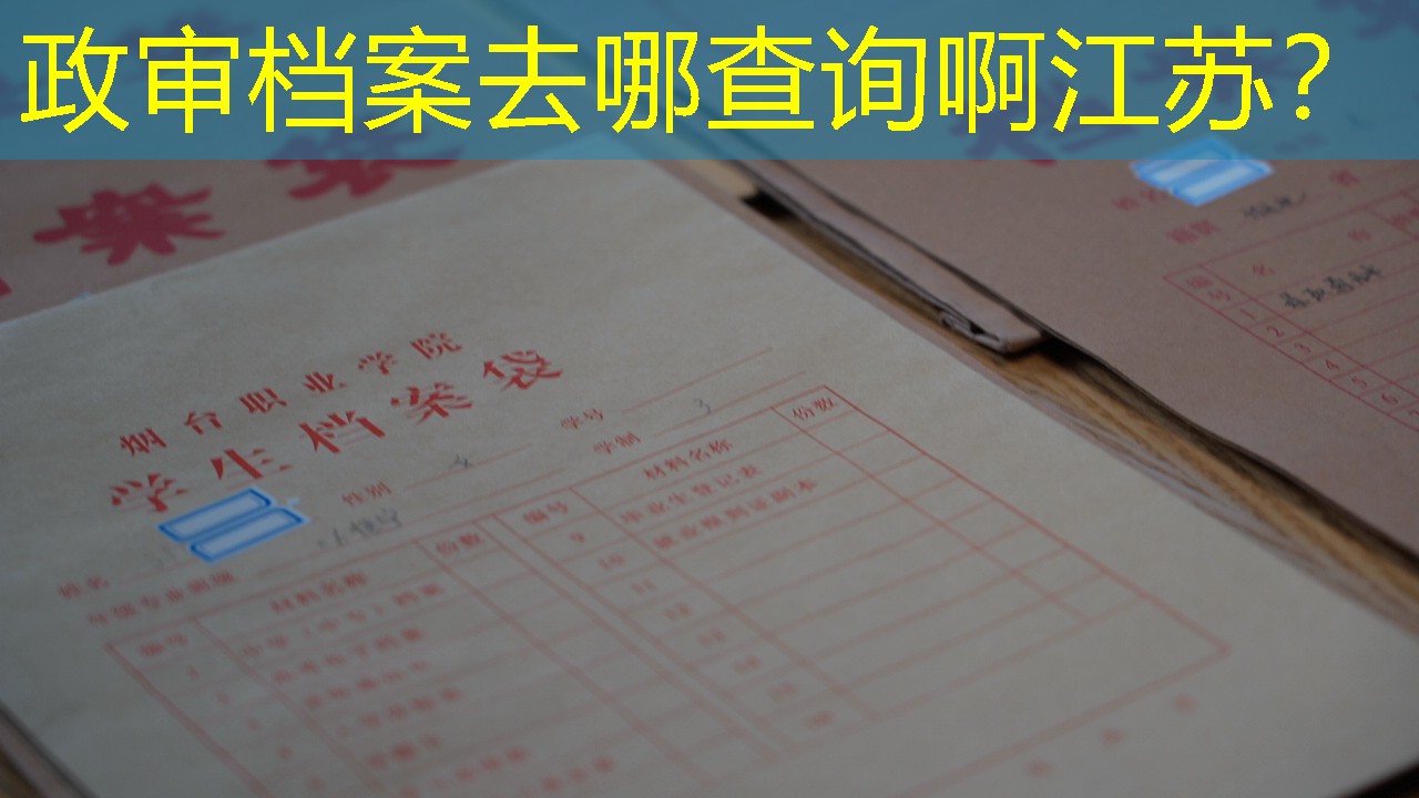 档案查询