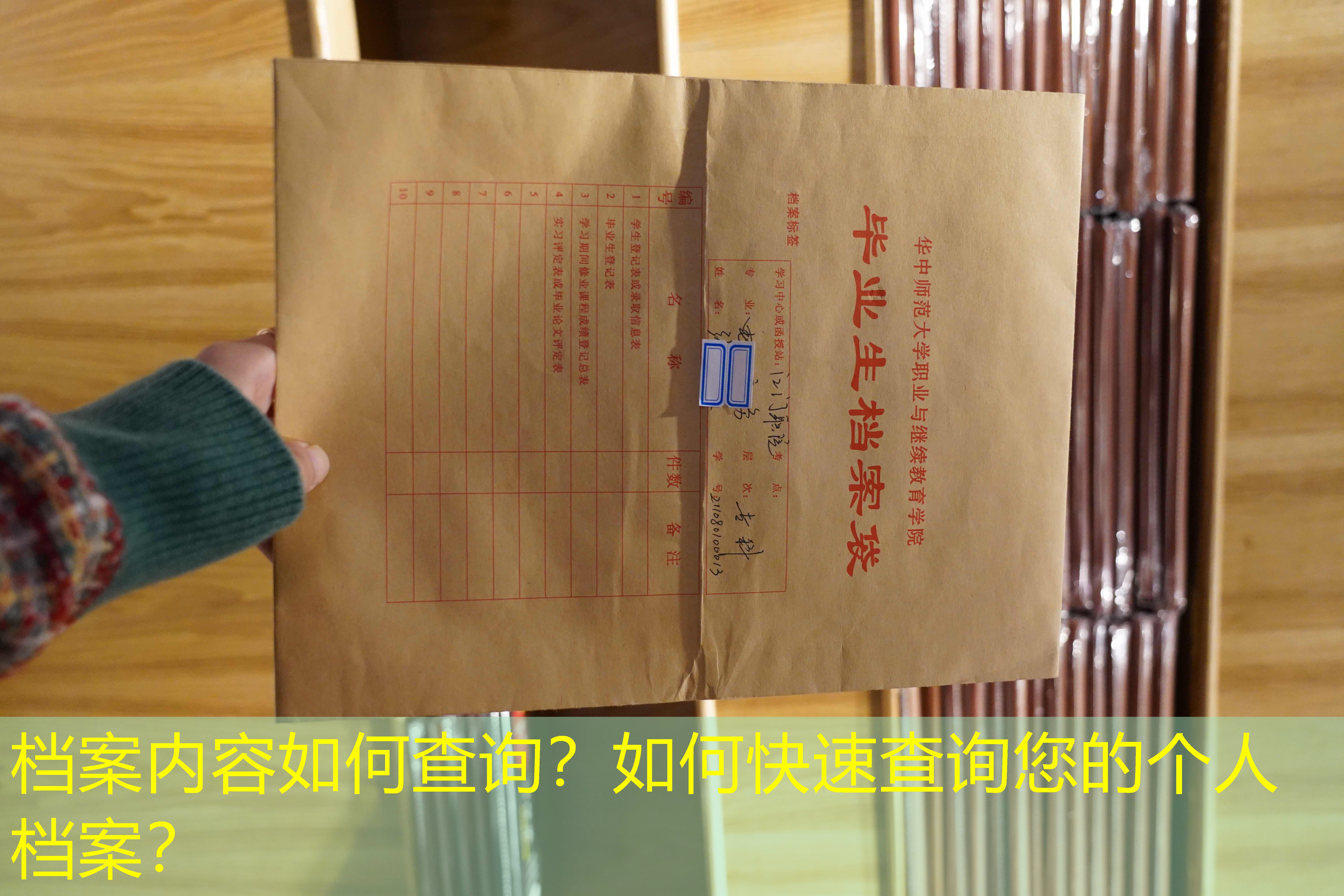 档案查询