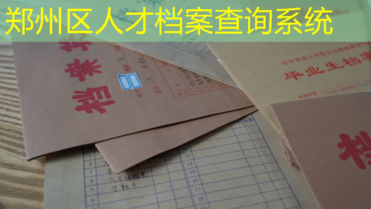 档案查询