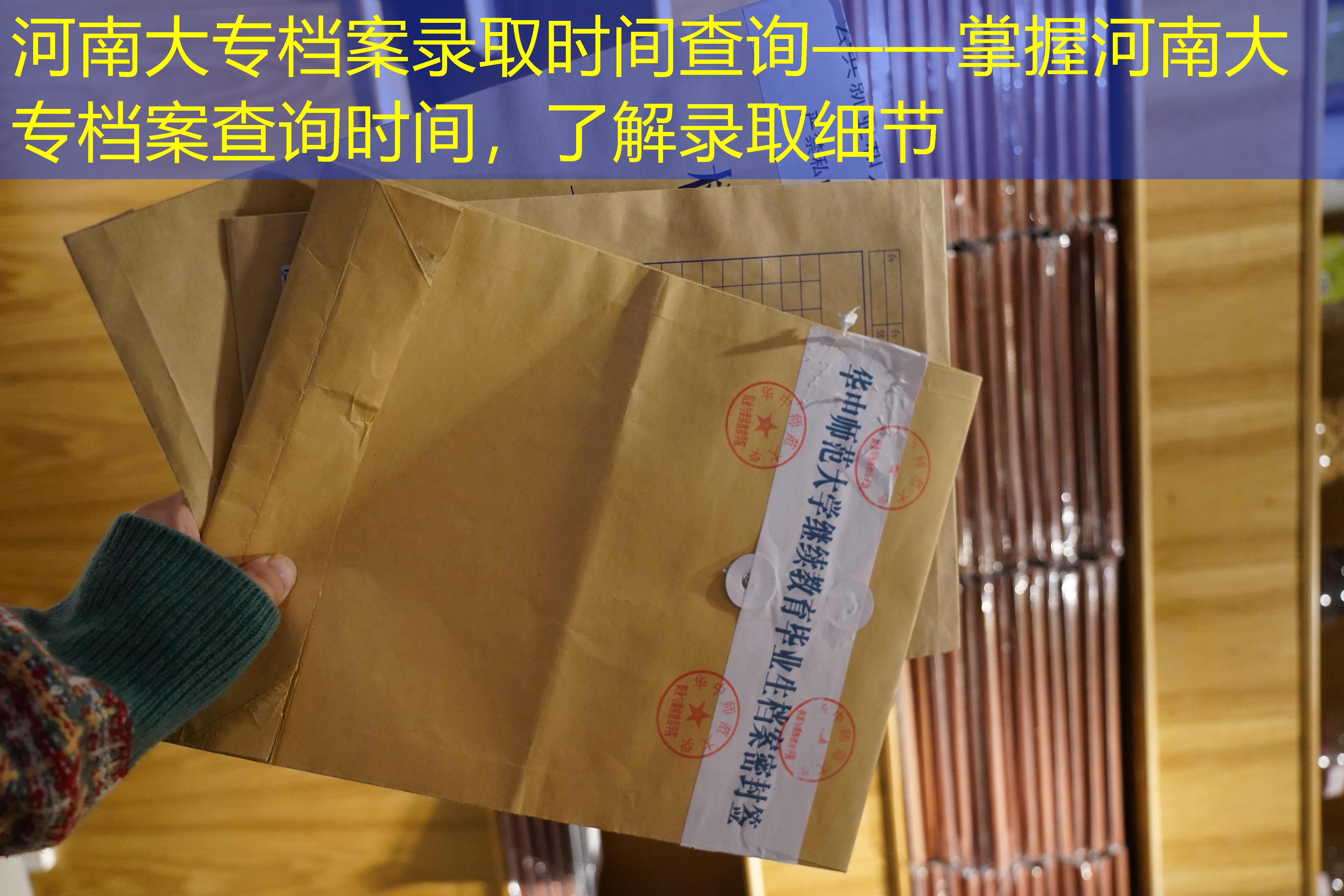 档案查询