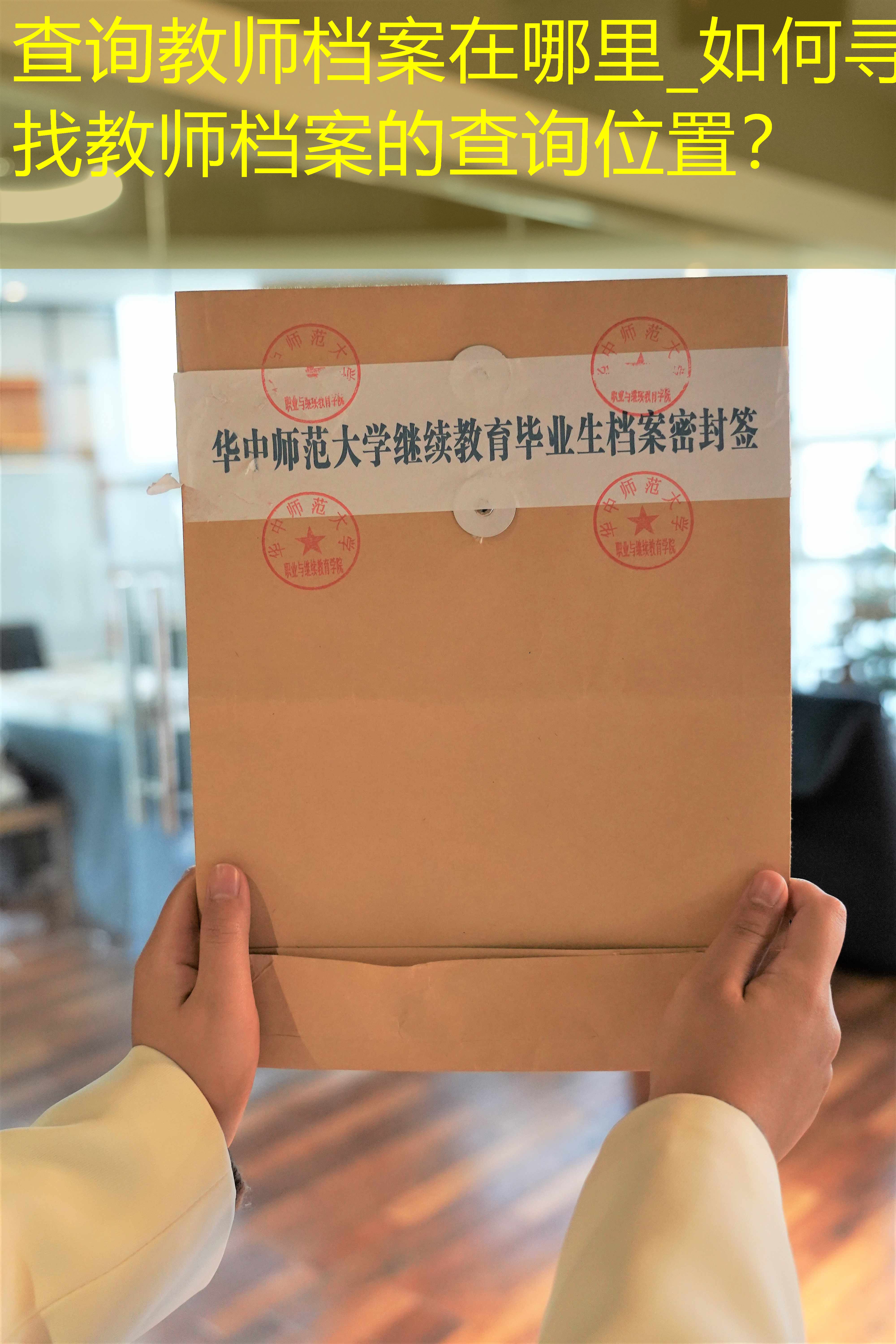 档案查询