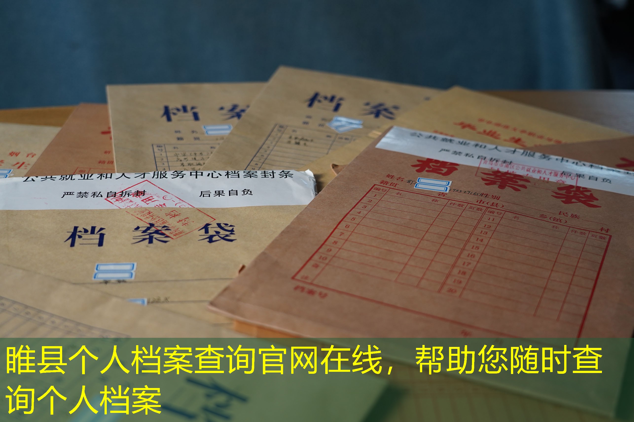 档案查询
