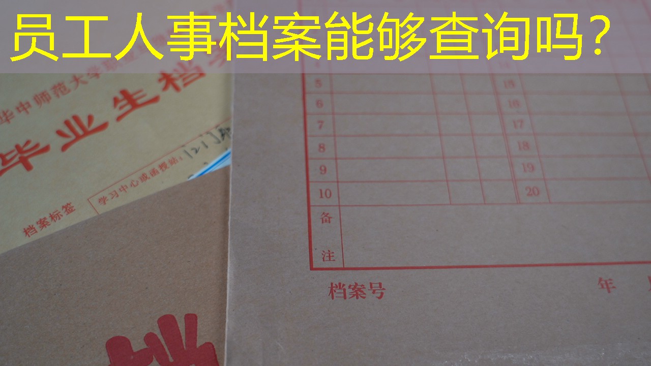 档案查询