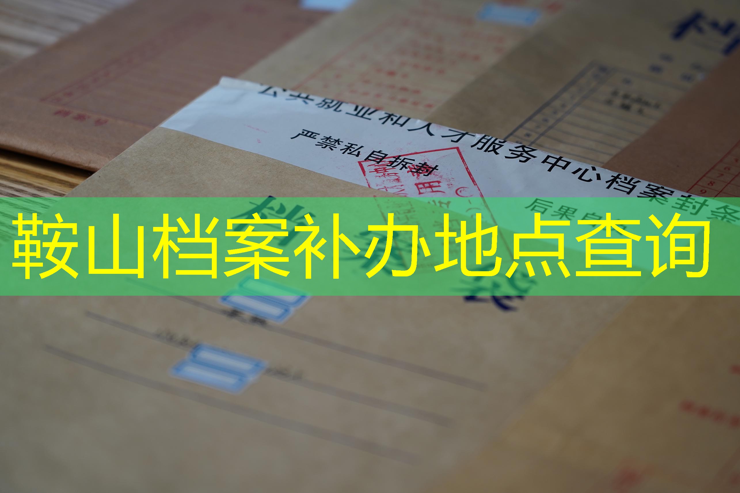 档案查询
