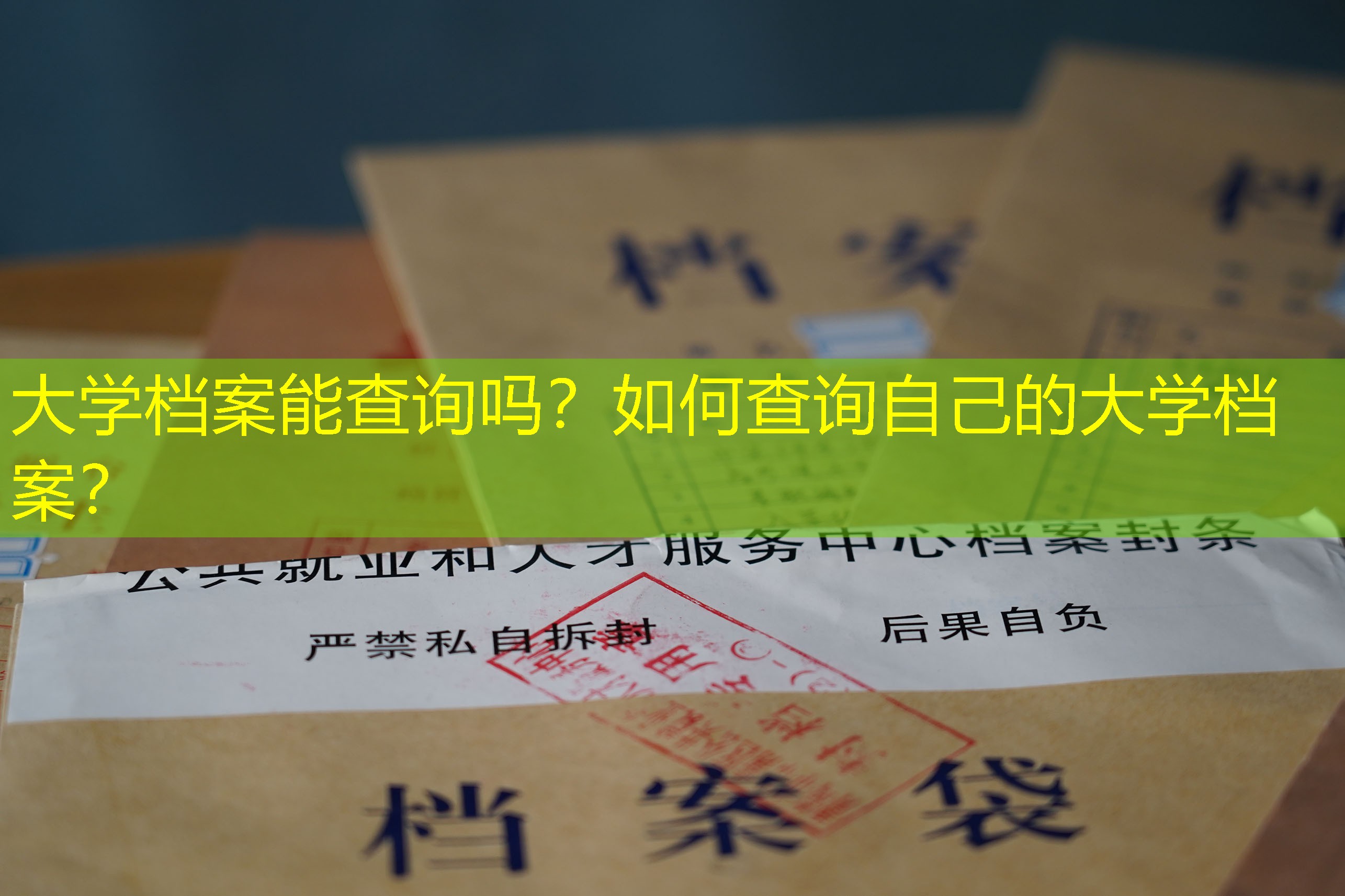 档案查询