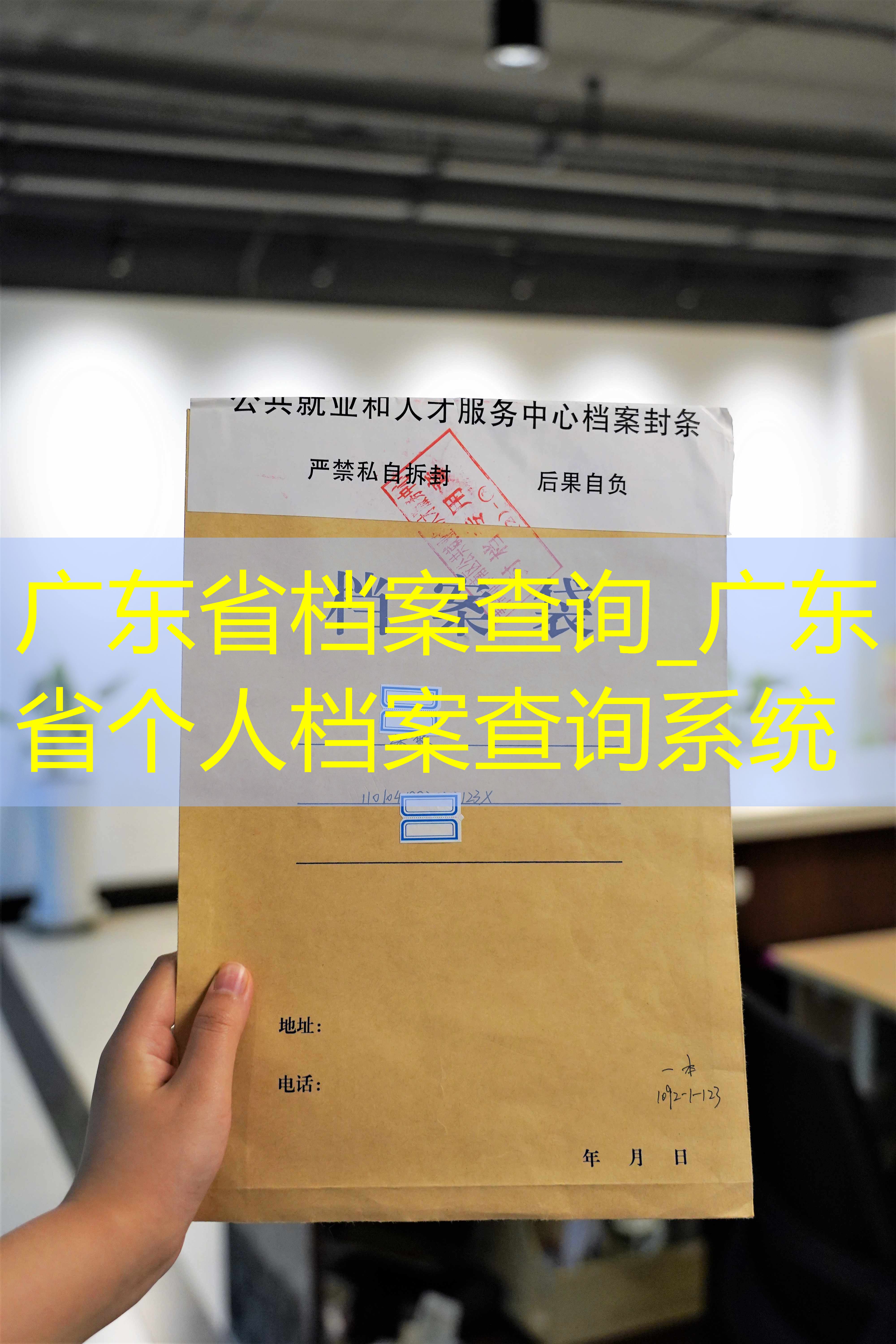 档案查询