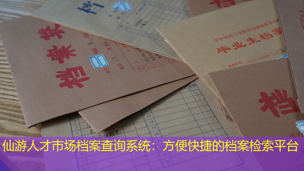 档案查询