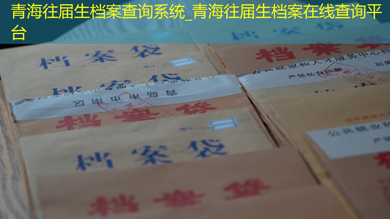 档案查询