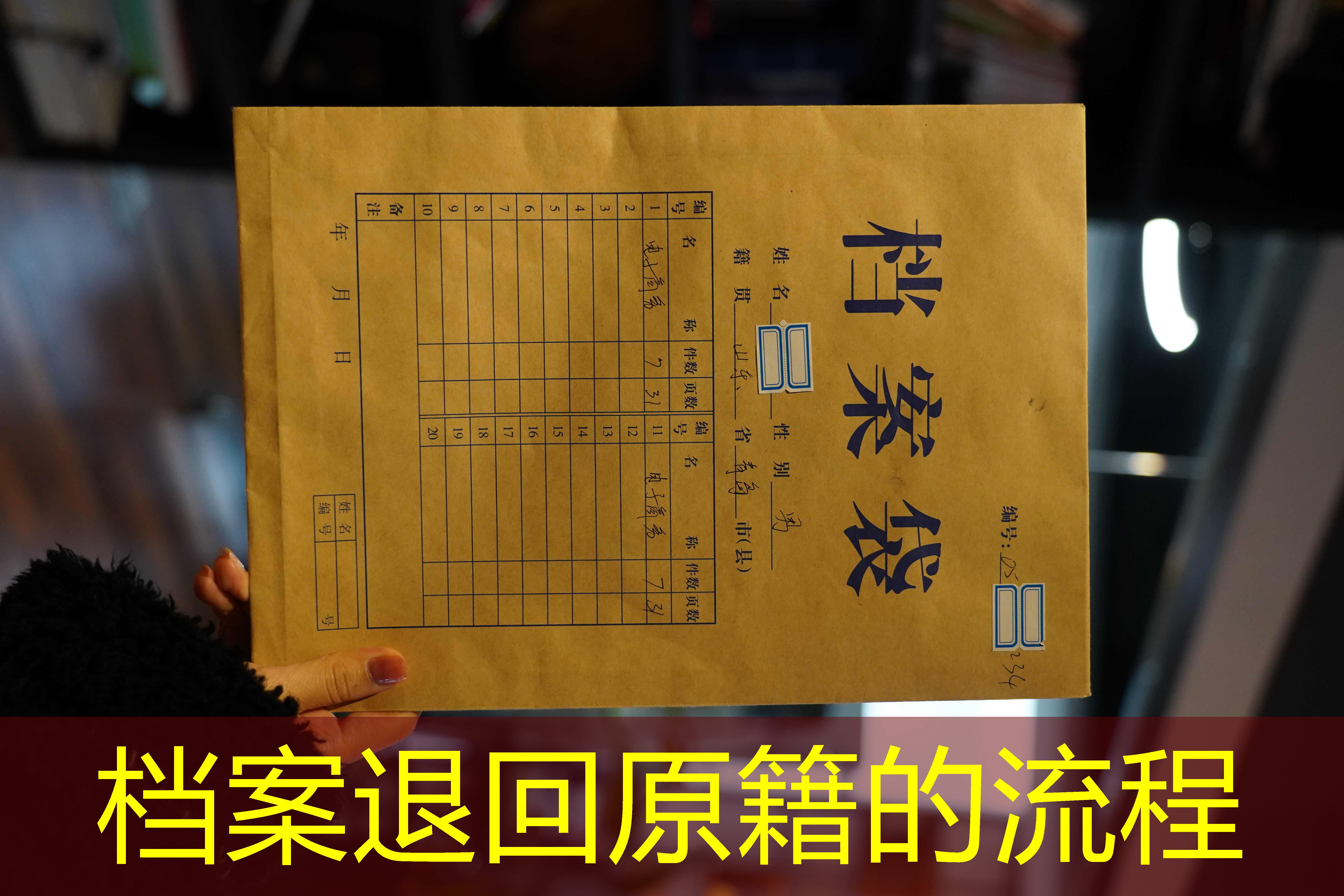 档案查询