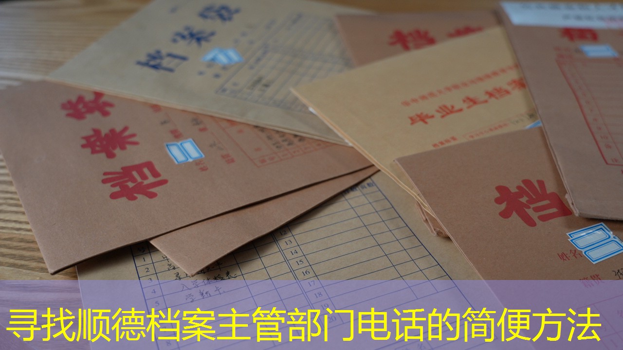 档案查询