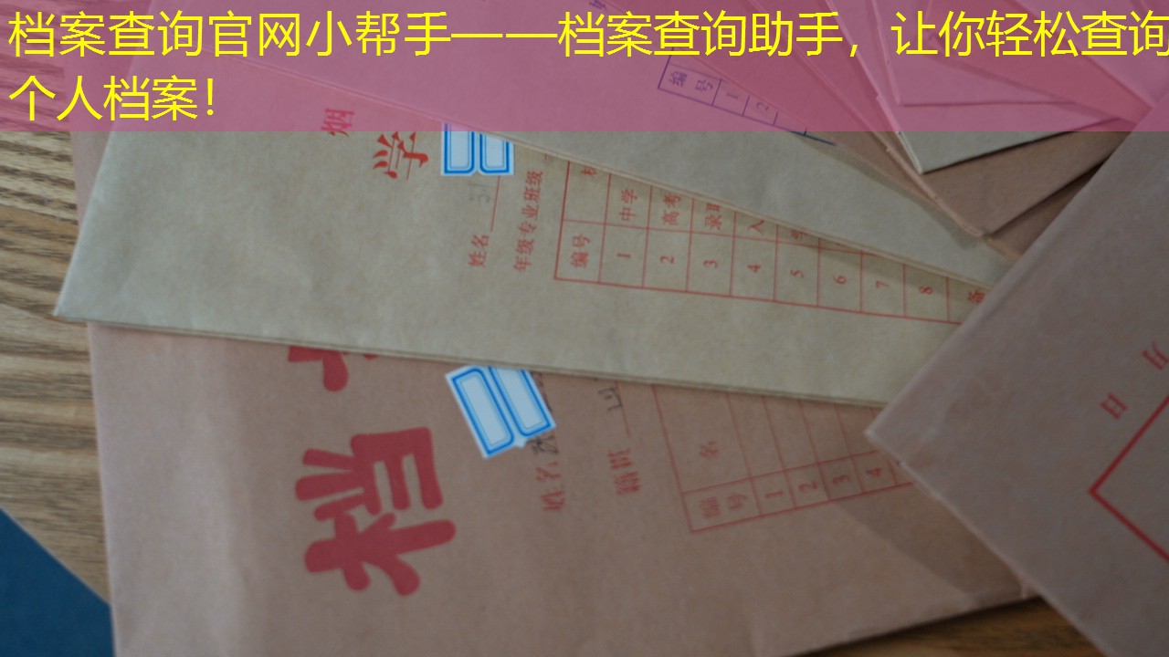 档案查询